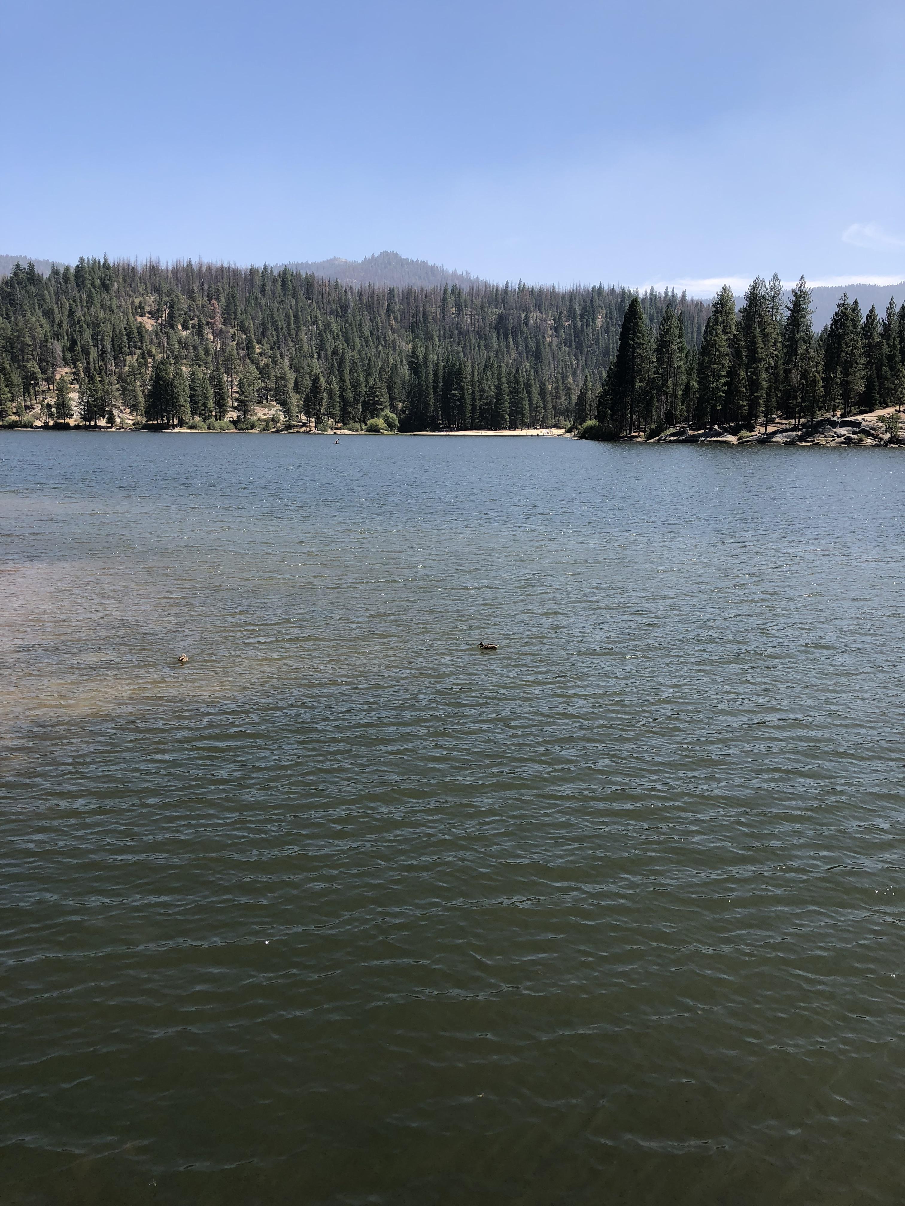 Hume Lake, CA r/camping