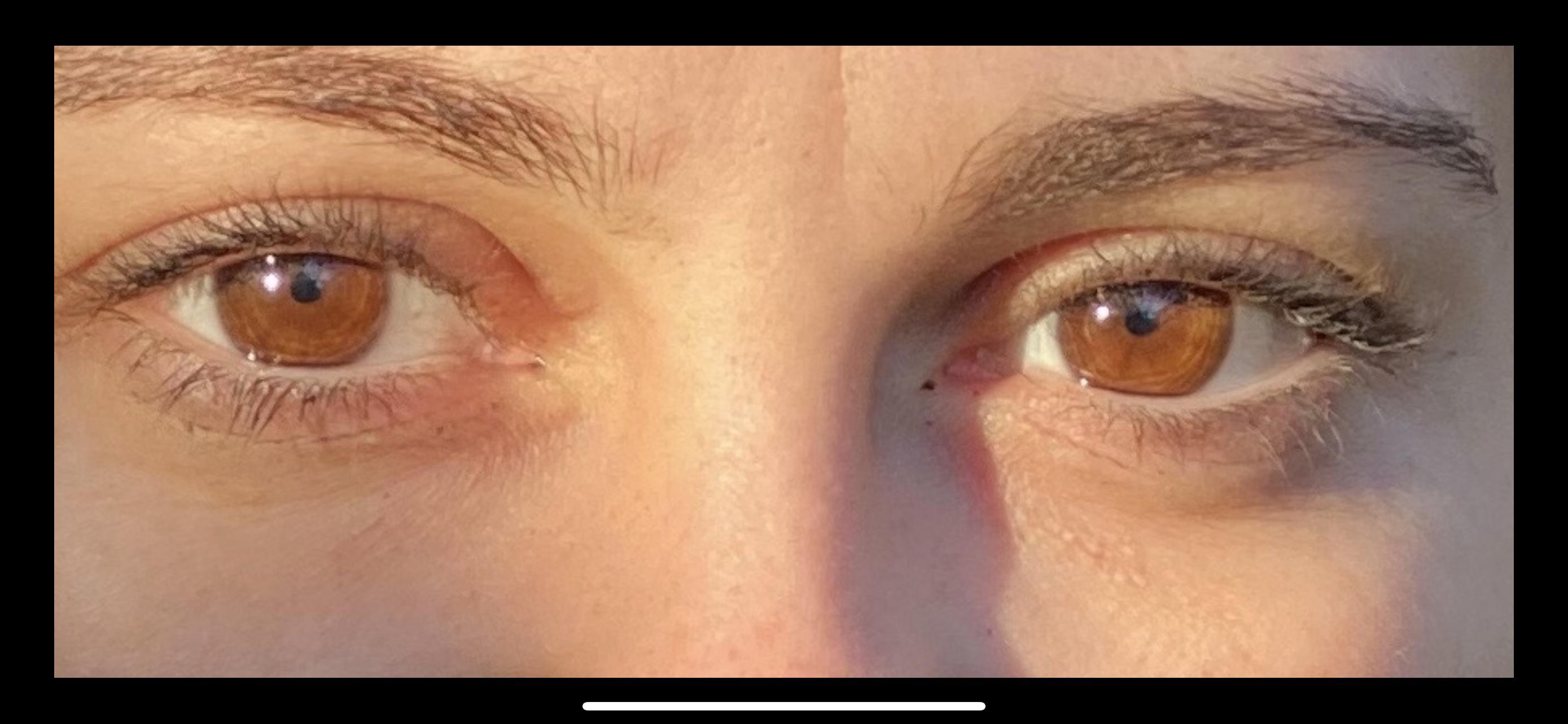 Are these eyes amber or brown? r/eyes