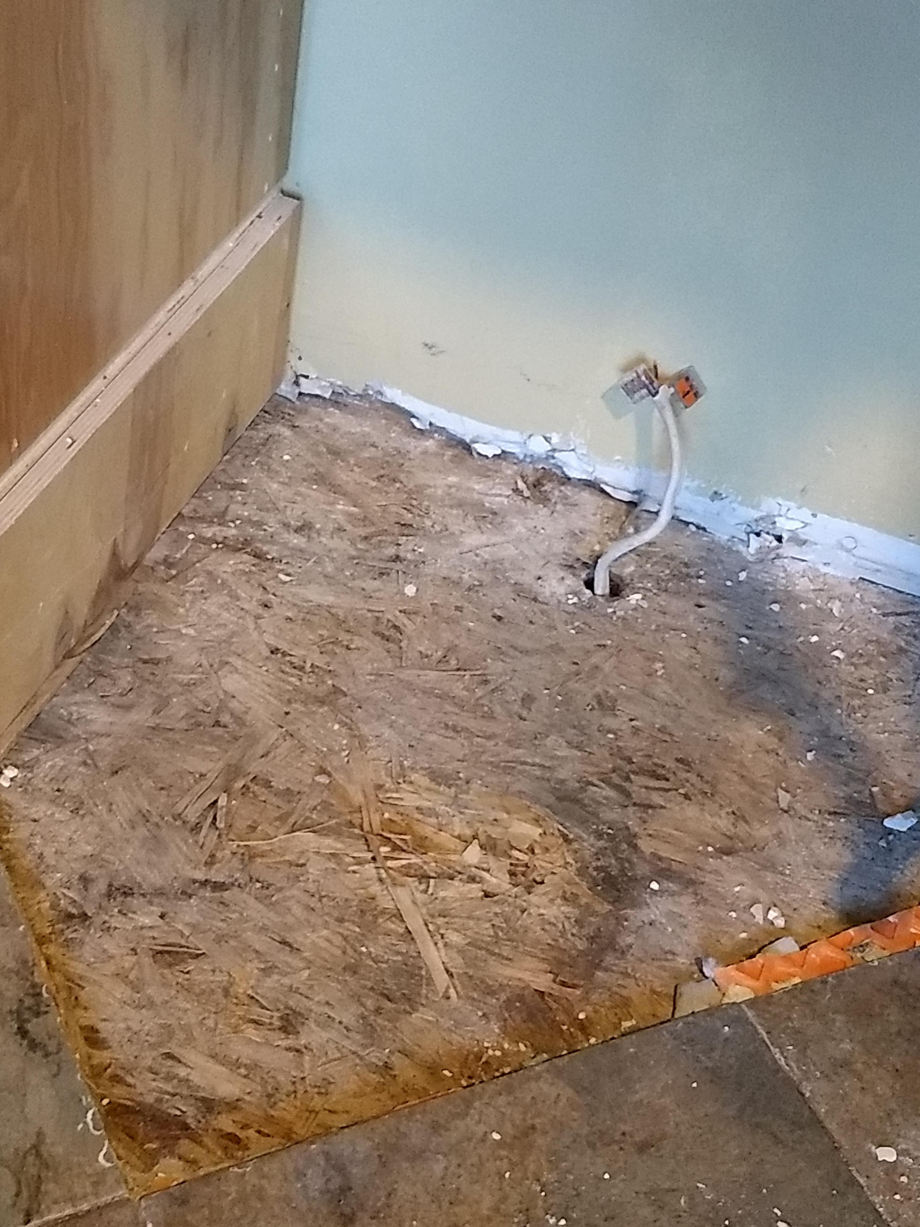 Followup post to leaking dishwasher Been using a fan on the wet