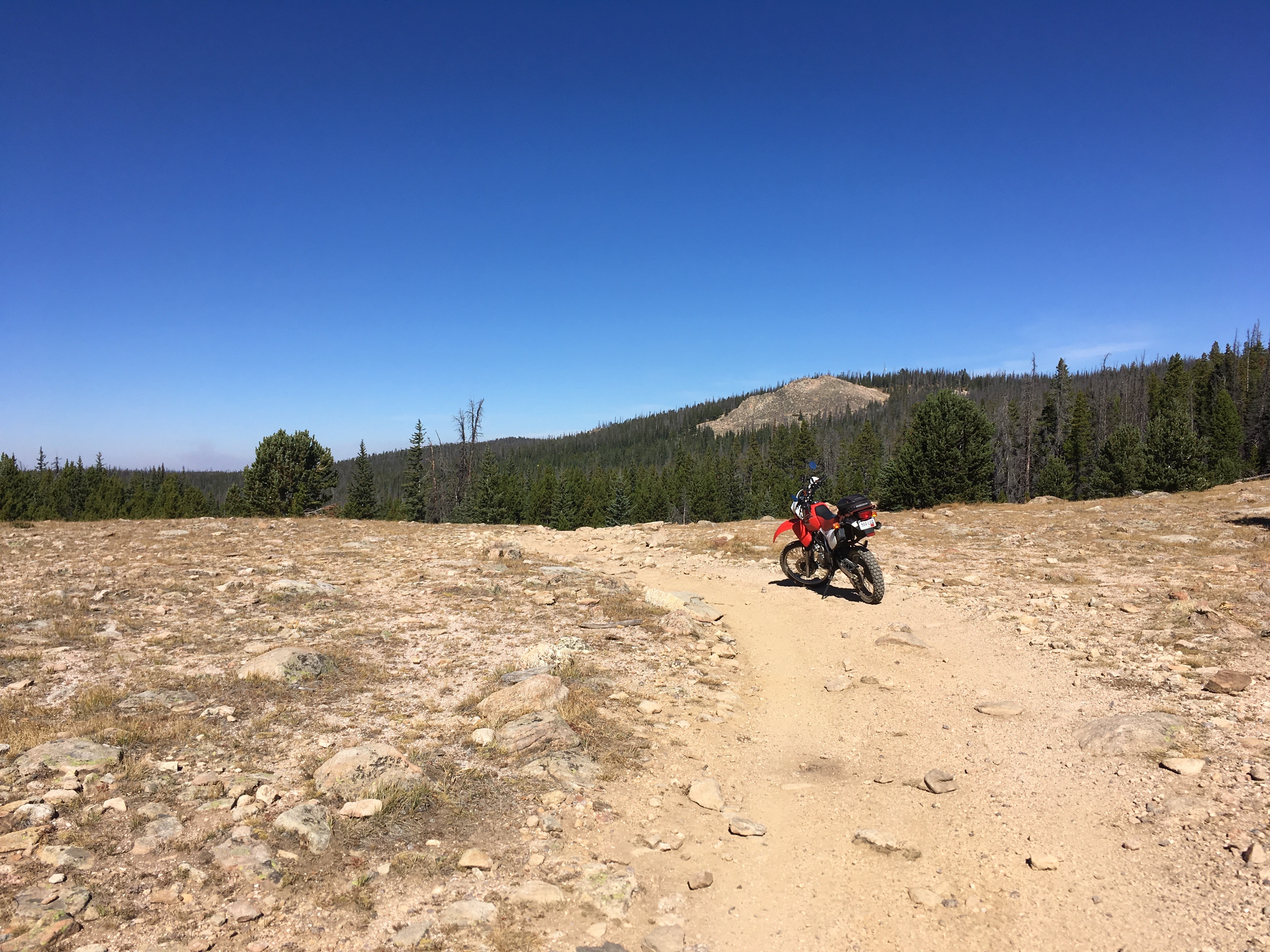 bald mountain, red feather lakes co r/Dualsport