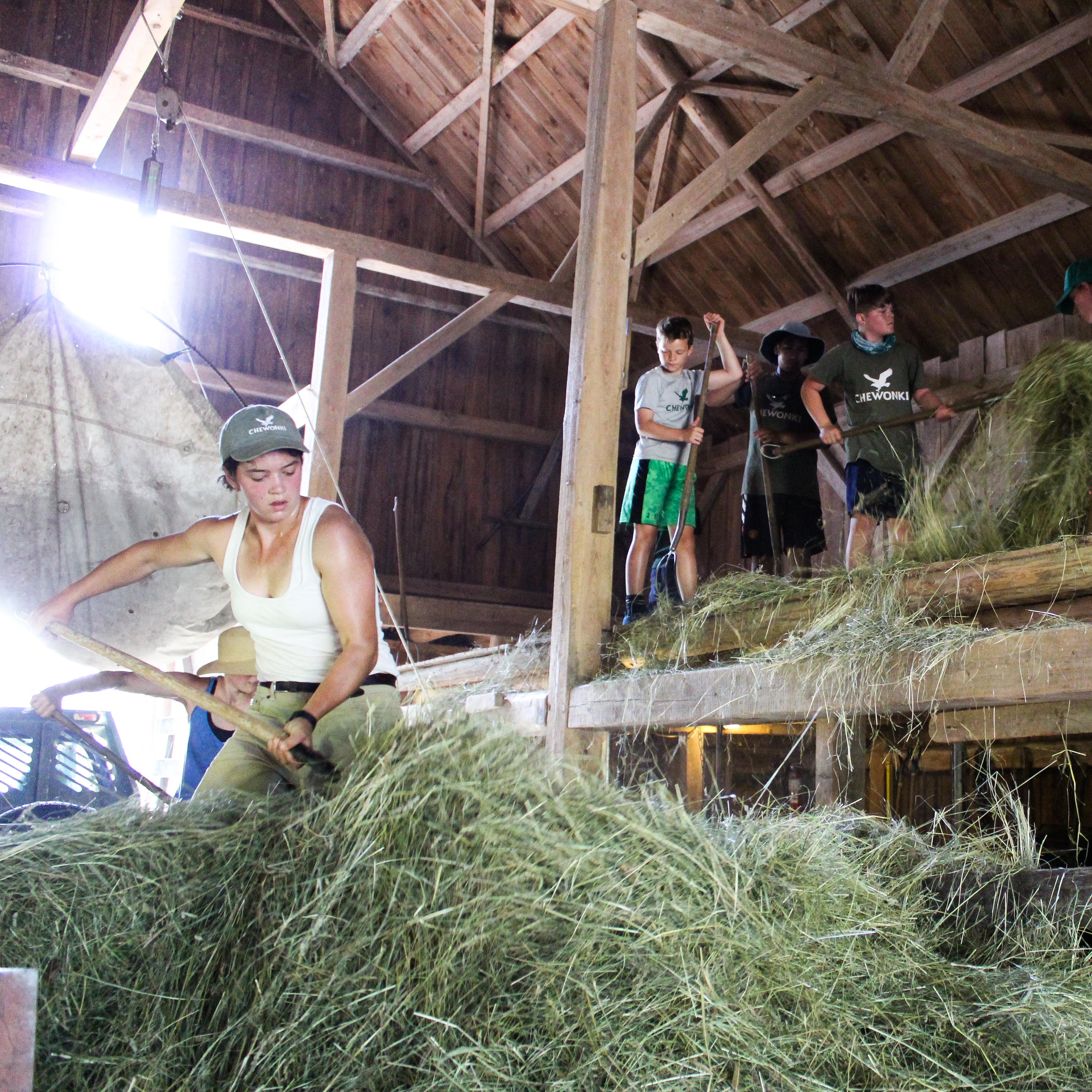 Pitching Hay in Maine r/pics