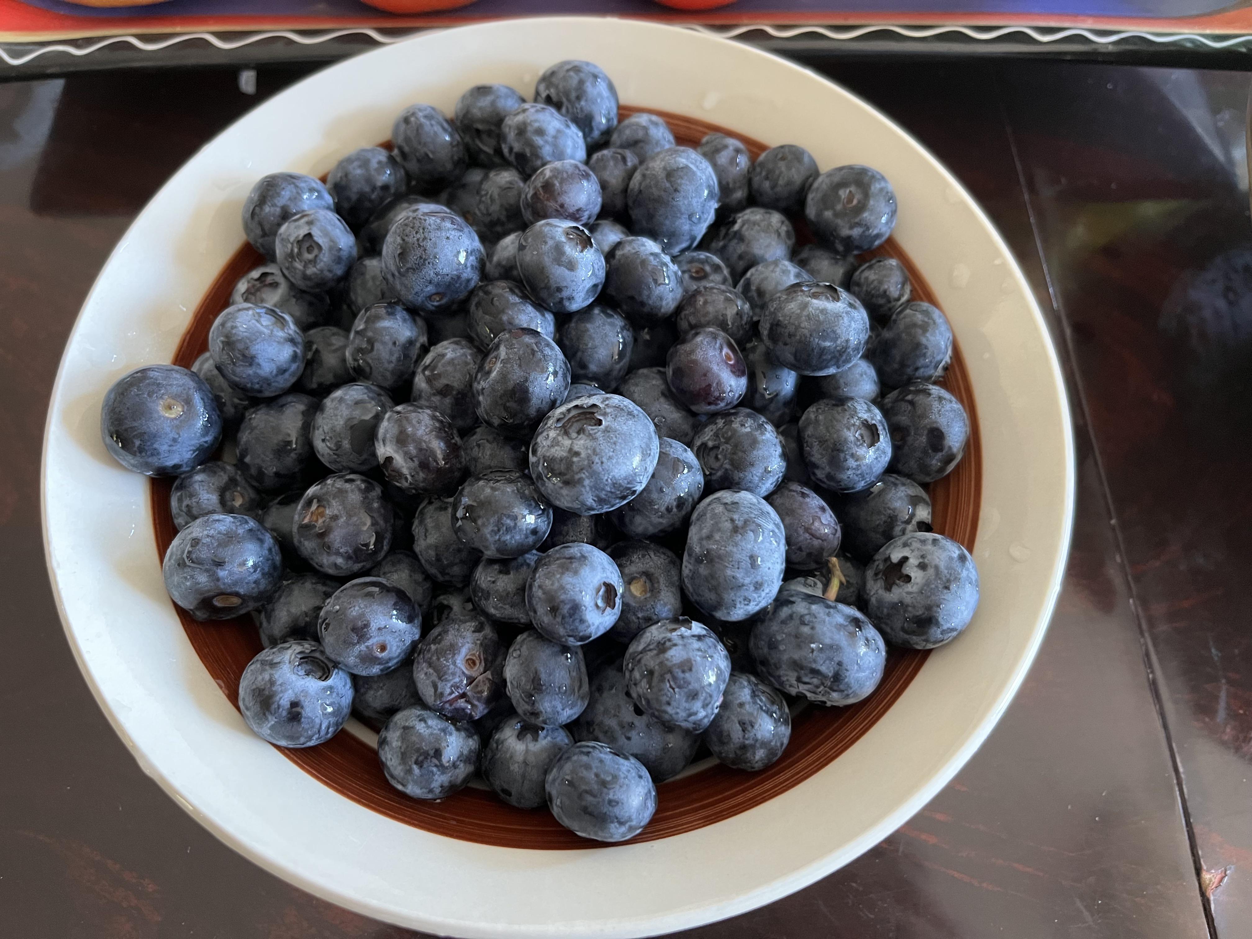 Some of the best blueberries I have ever tasted. 🫐 r/fruit