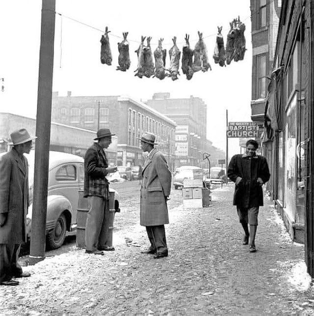 Rabbits for Sale, South side of Chicago 1948. Photographed by Wayne F