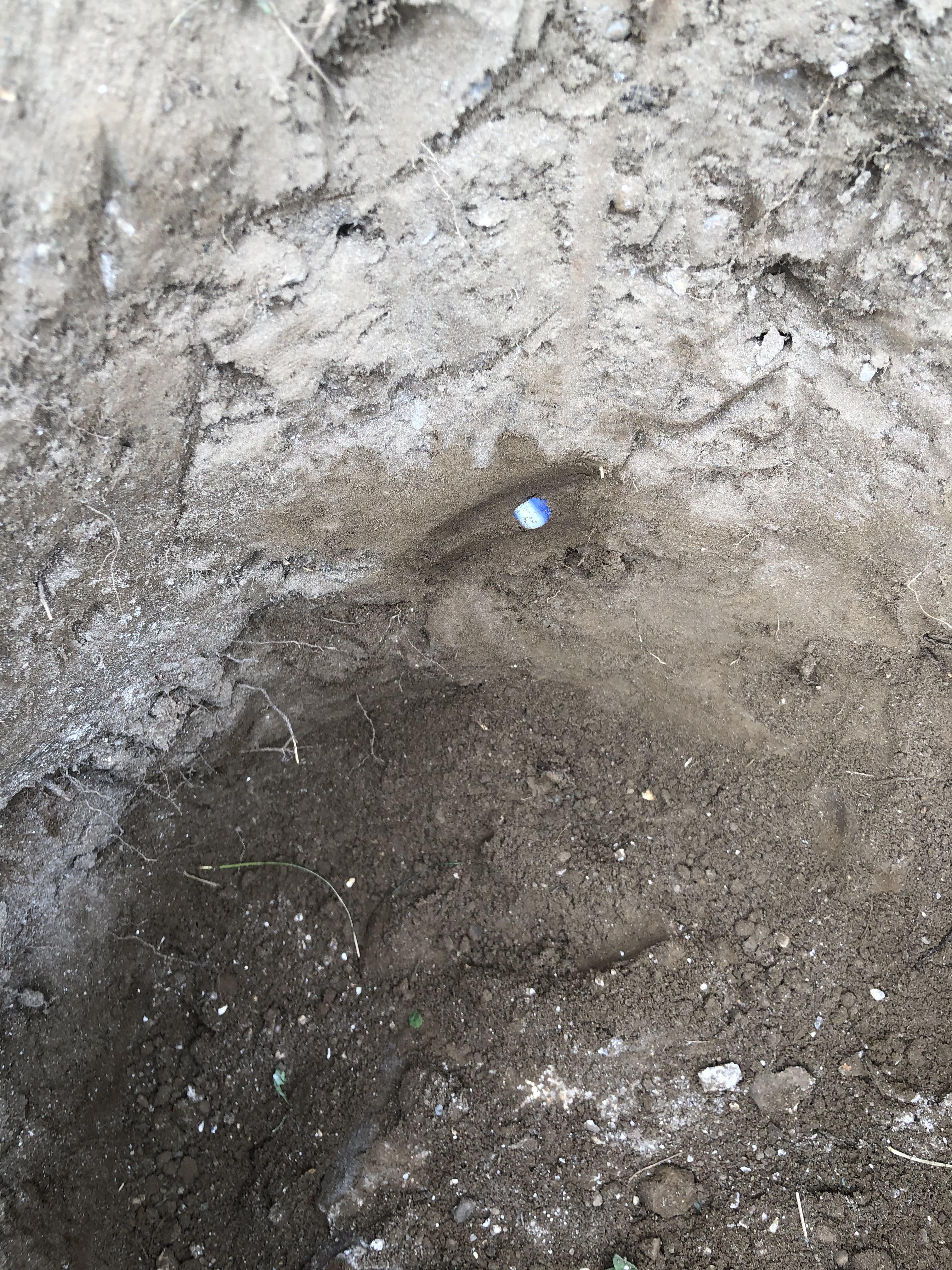 A marble in a hole r/mildlyinteresting