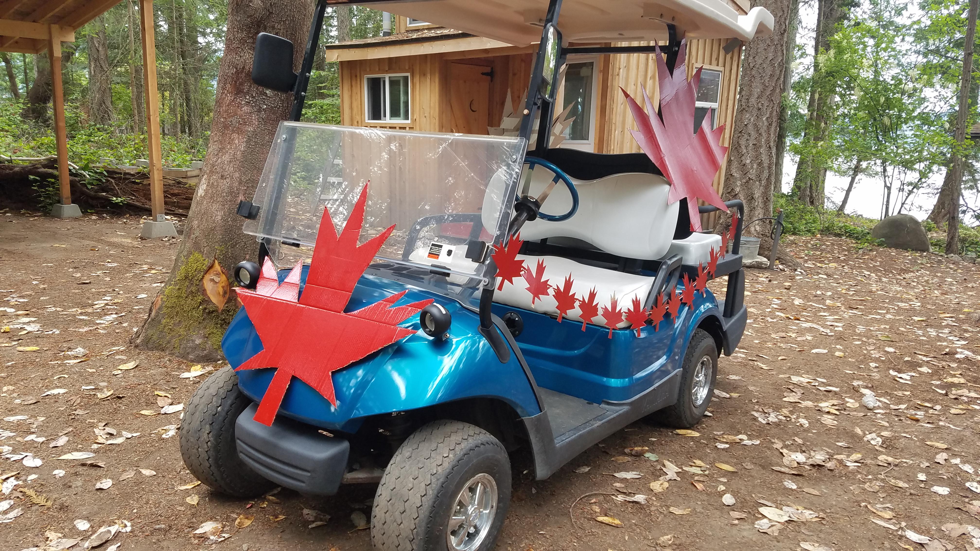 Dressed up the golf cart for the parade! r/golfcarts