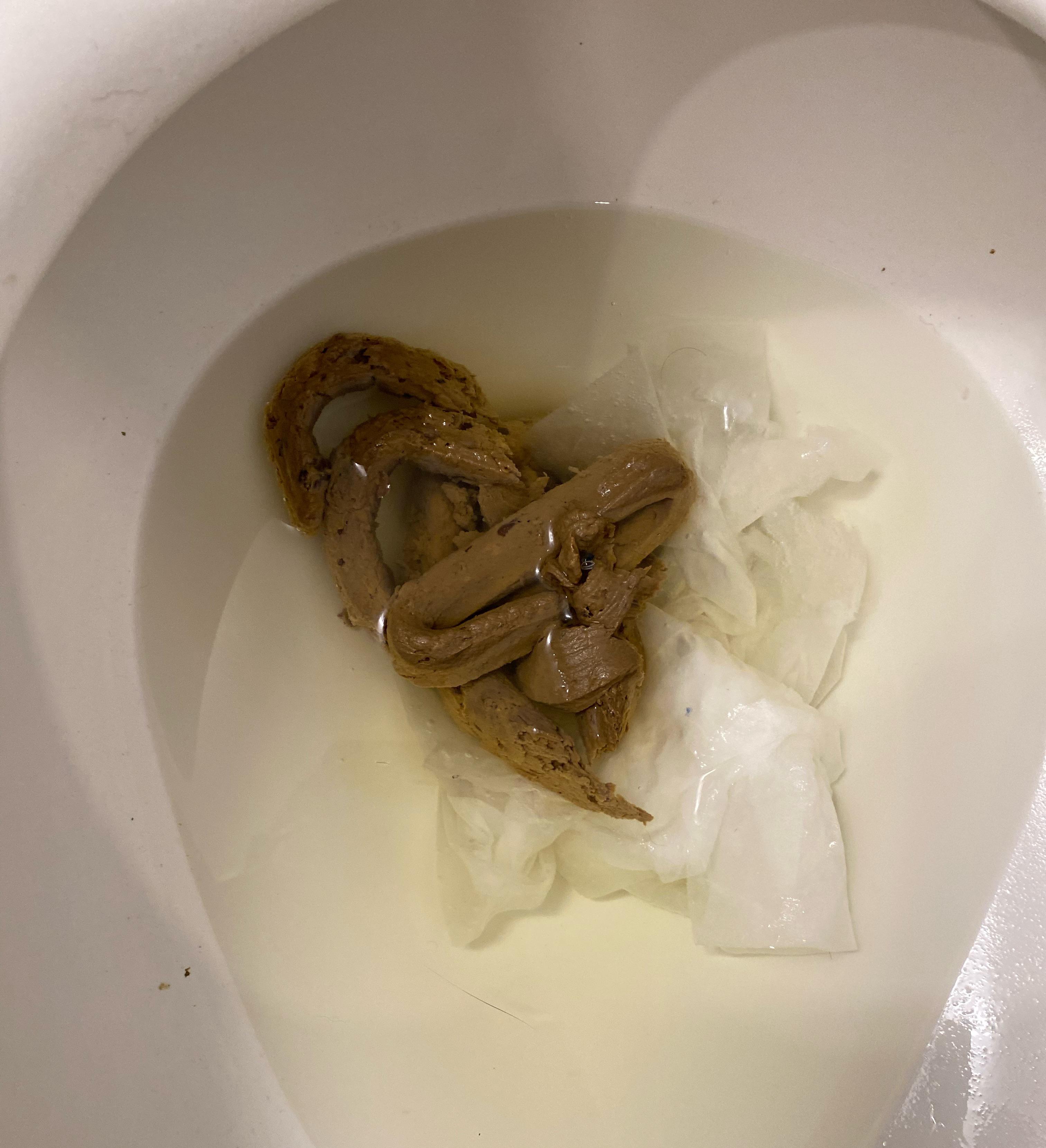 Fettuccine Noodle r/poop