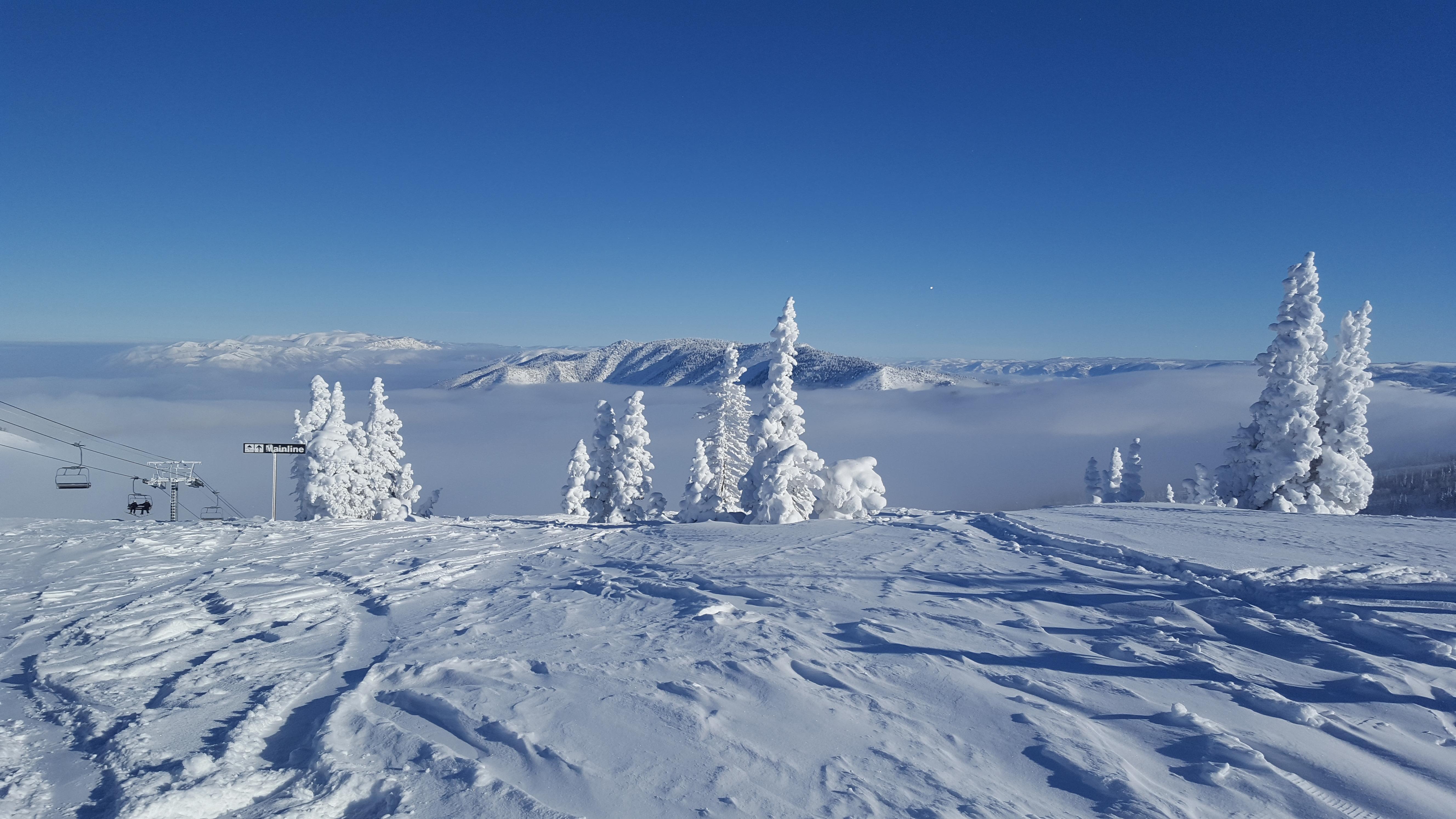 Powder Mountain last Friday r/skiing