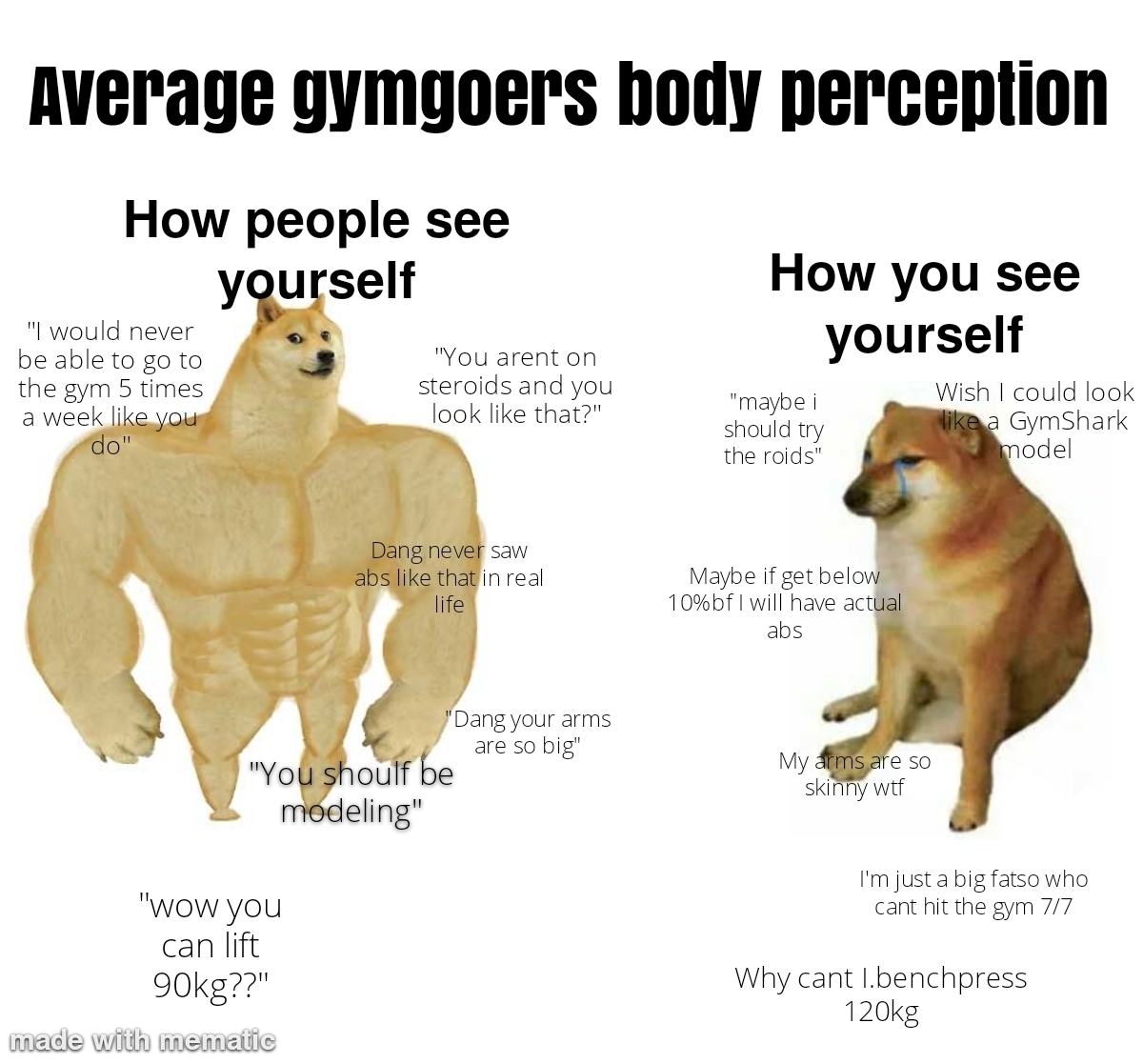 Body dysmorphia go brrrr r/GymMemes