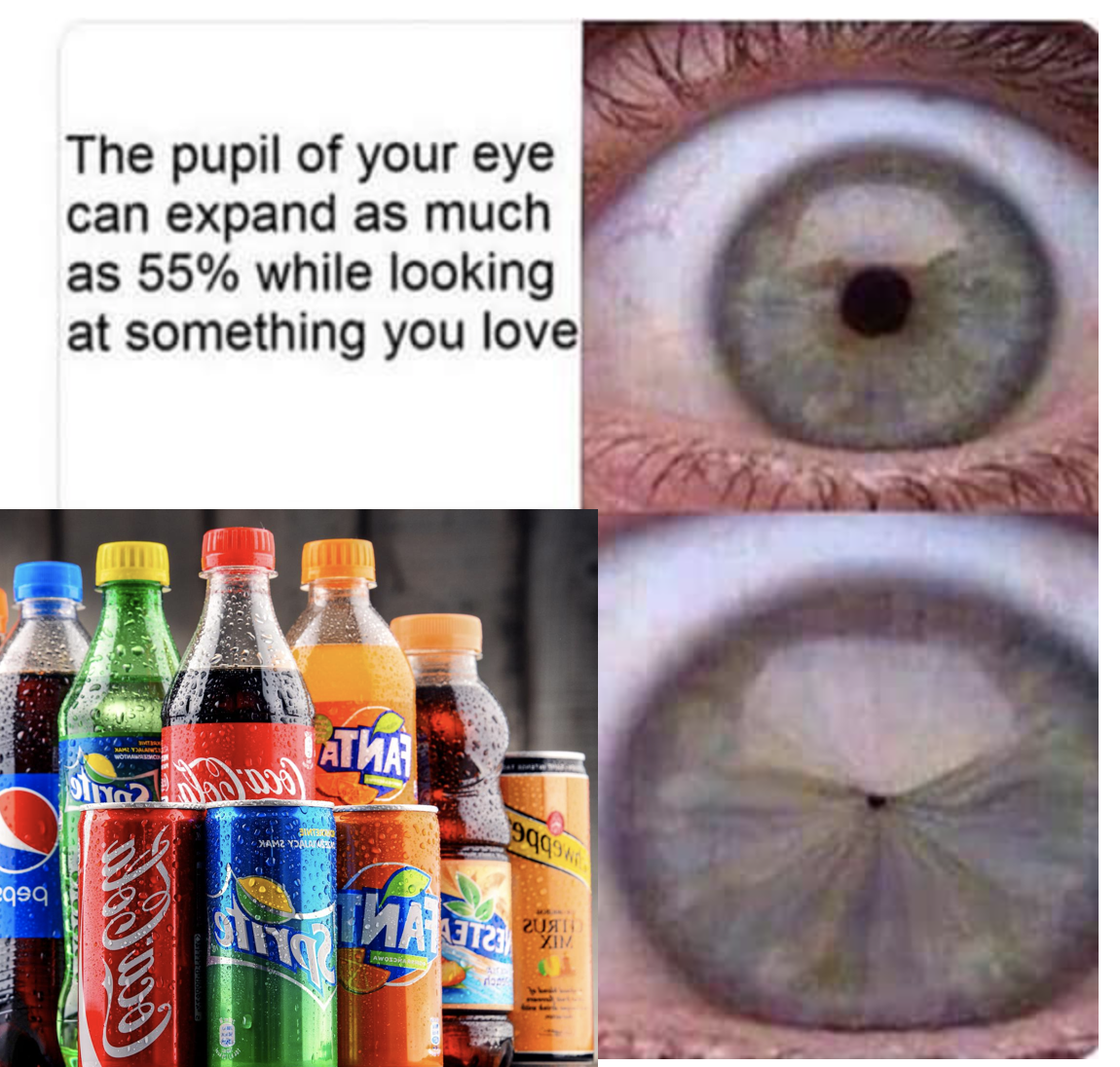 water good. soda bad. r/HydroHomies