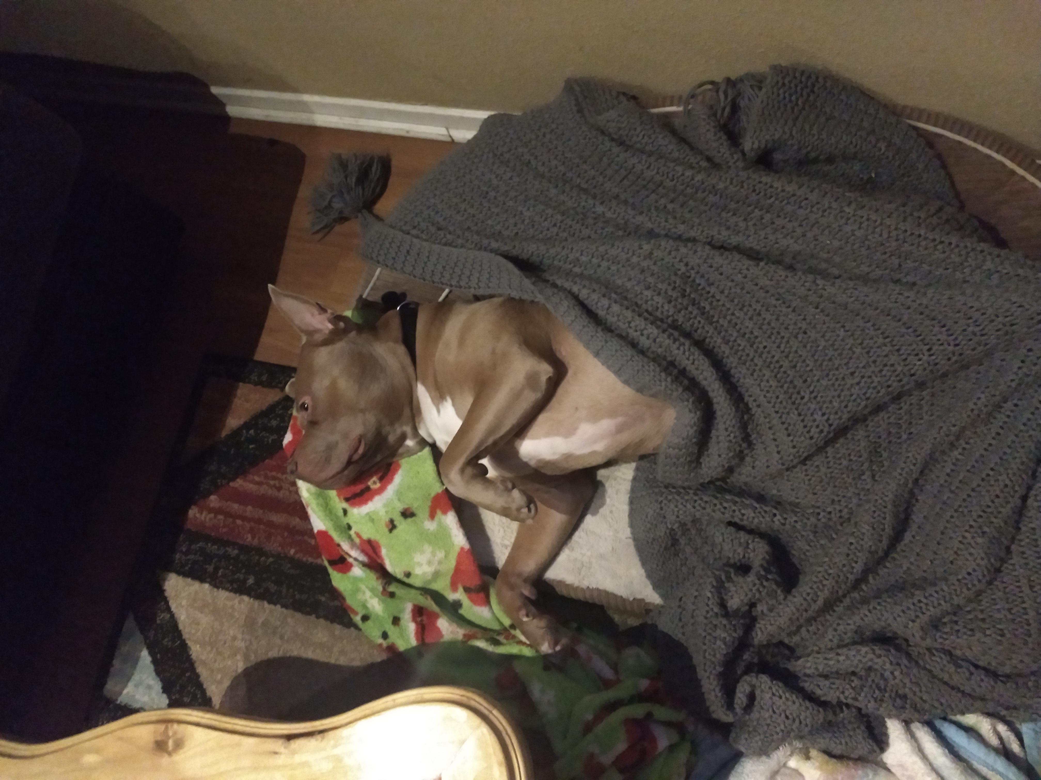 My dog does this and sighs when we don't give him enough attention r