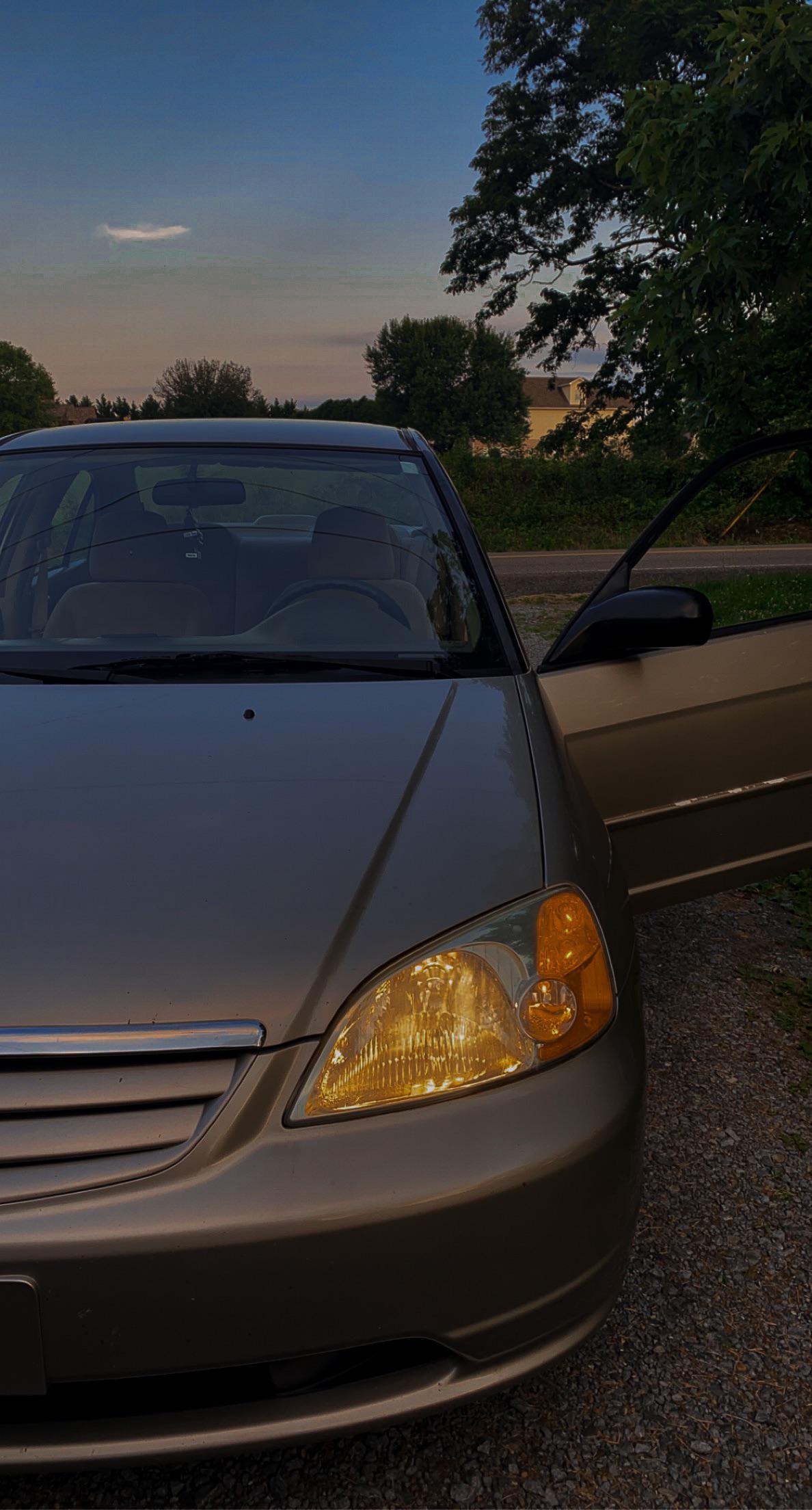 Great picture of my 2002 LX civic bone stock : r/7thgencivic