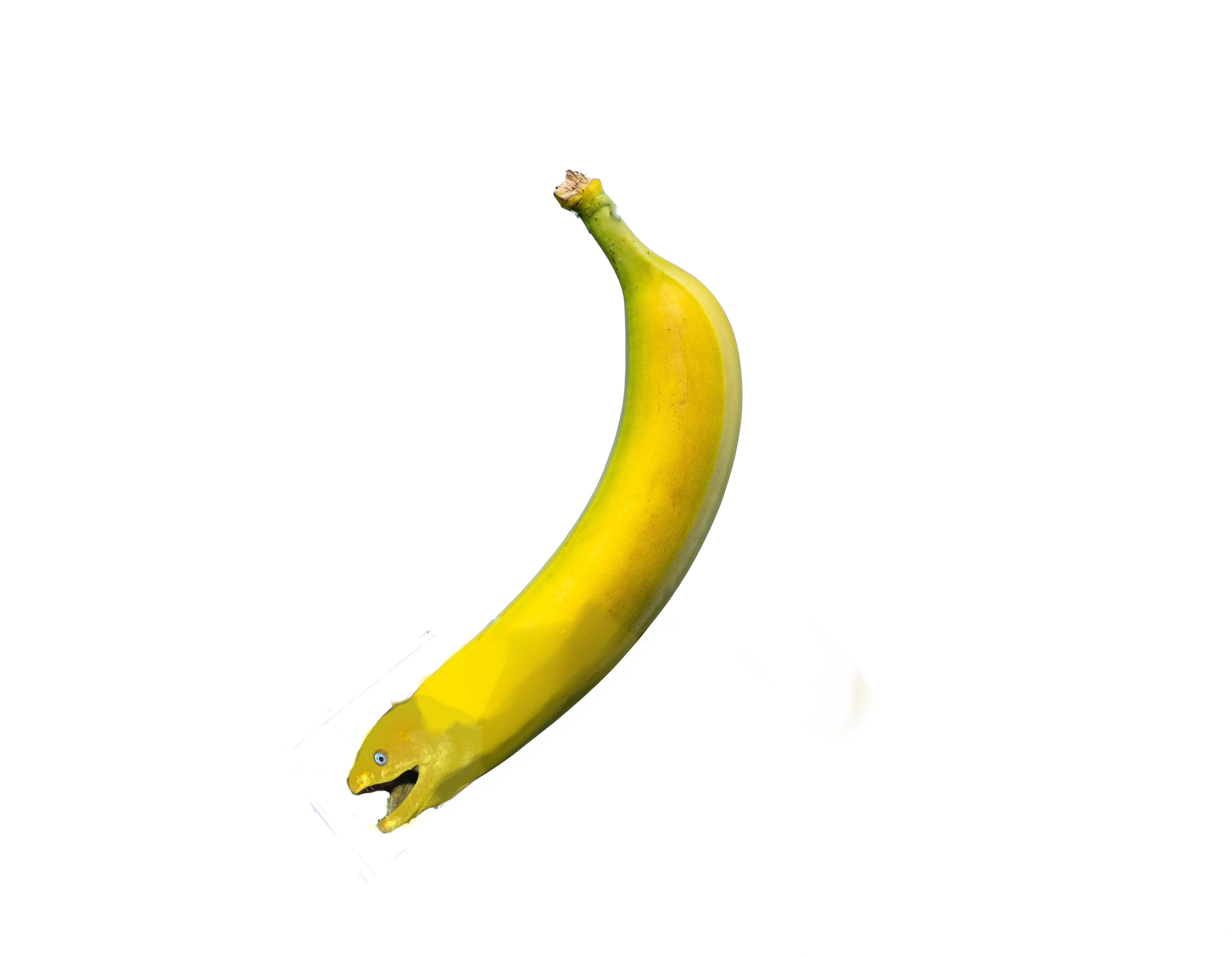 Banana eel r/HybridAnimals