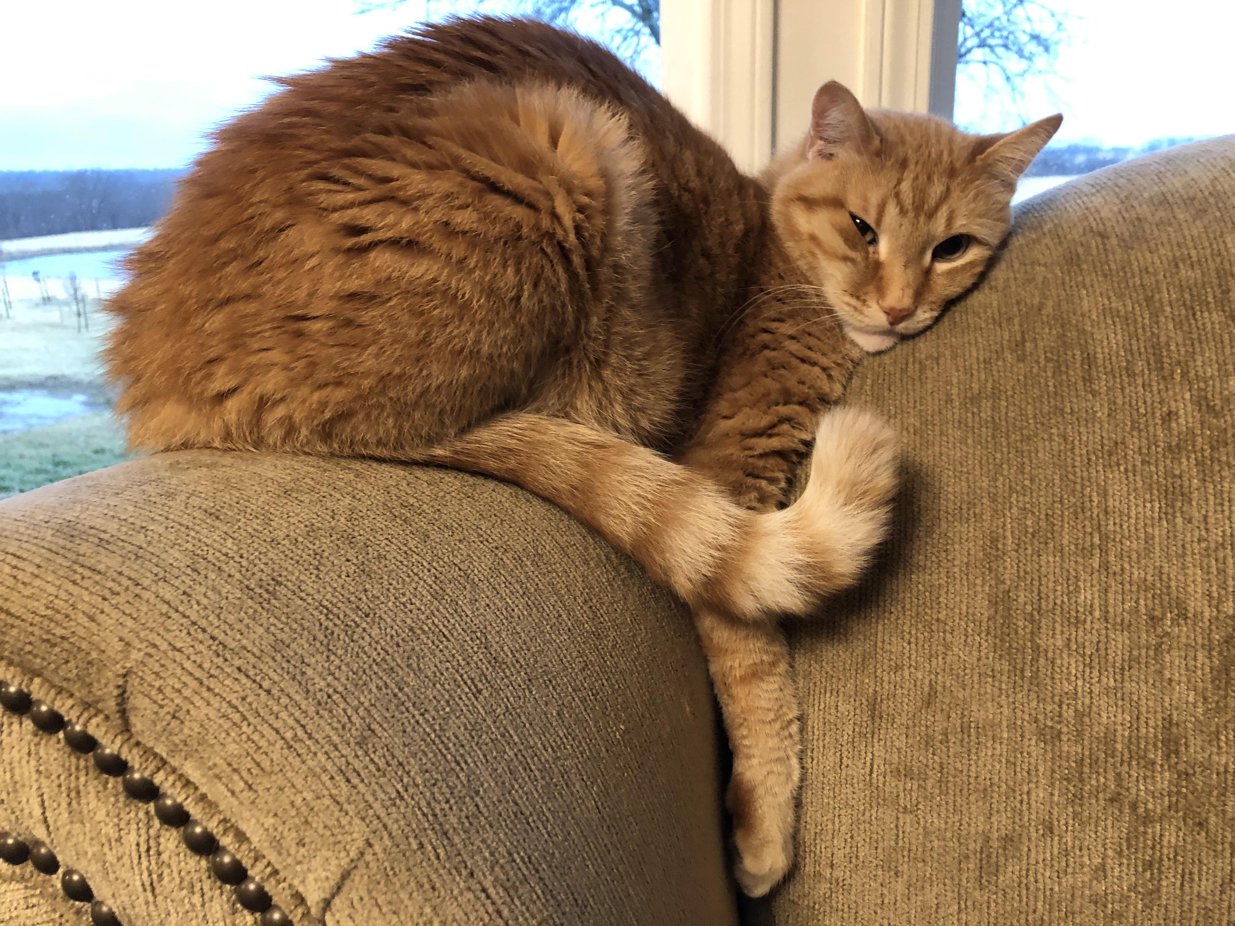 He just loves damp cold Thursdays cats