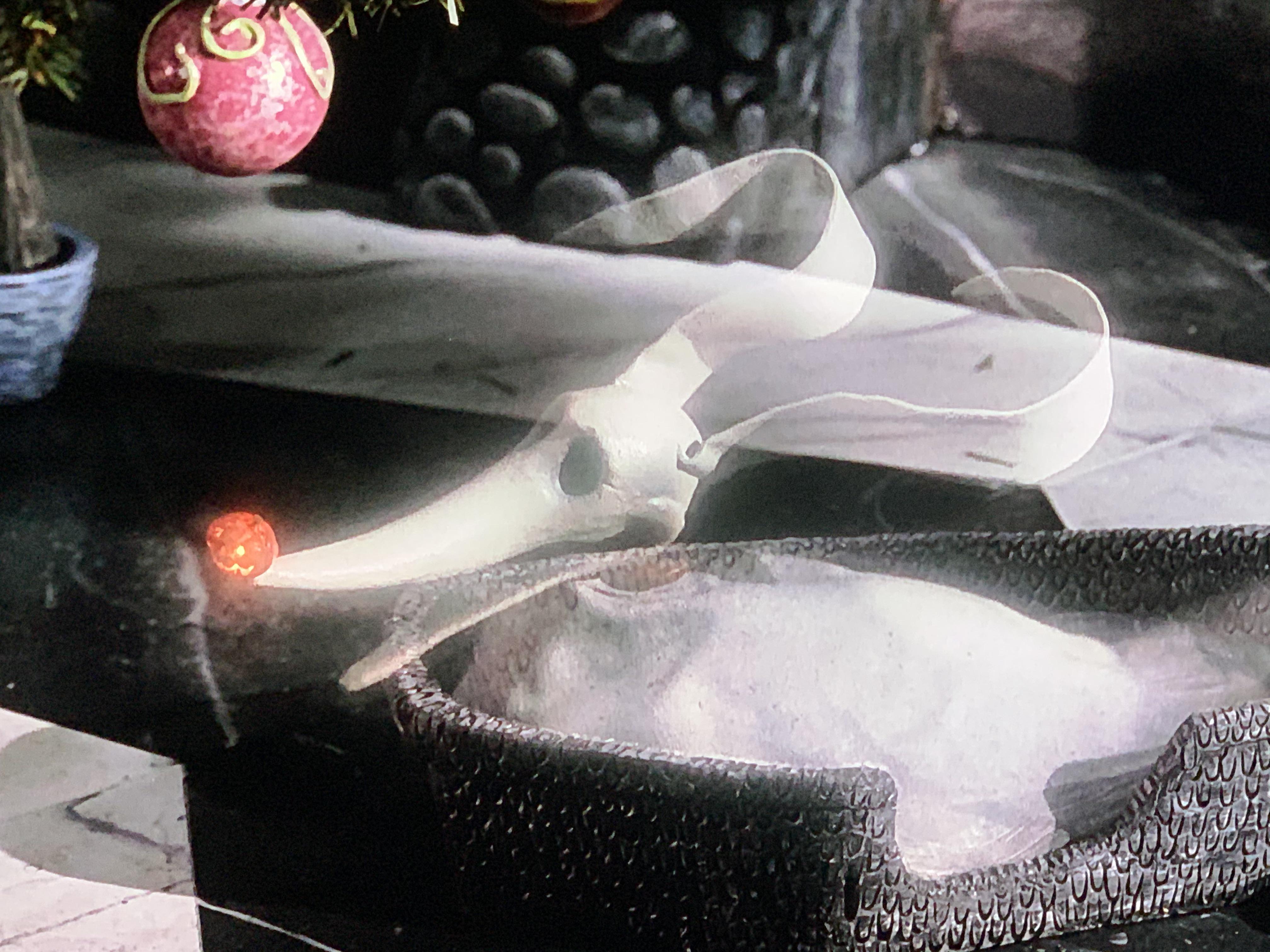 In The Nightmare Before Christmas (1993) Zero’s nose is a Jack O