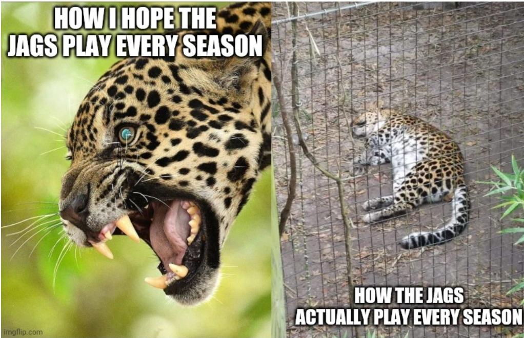 I visited the Jax zoo and found this dude meme worthy r/Jaguars