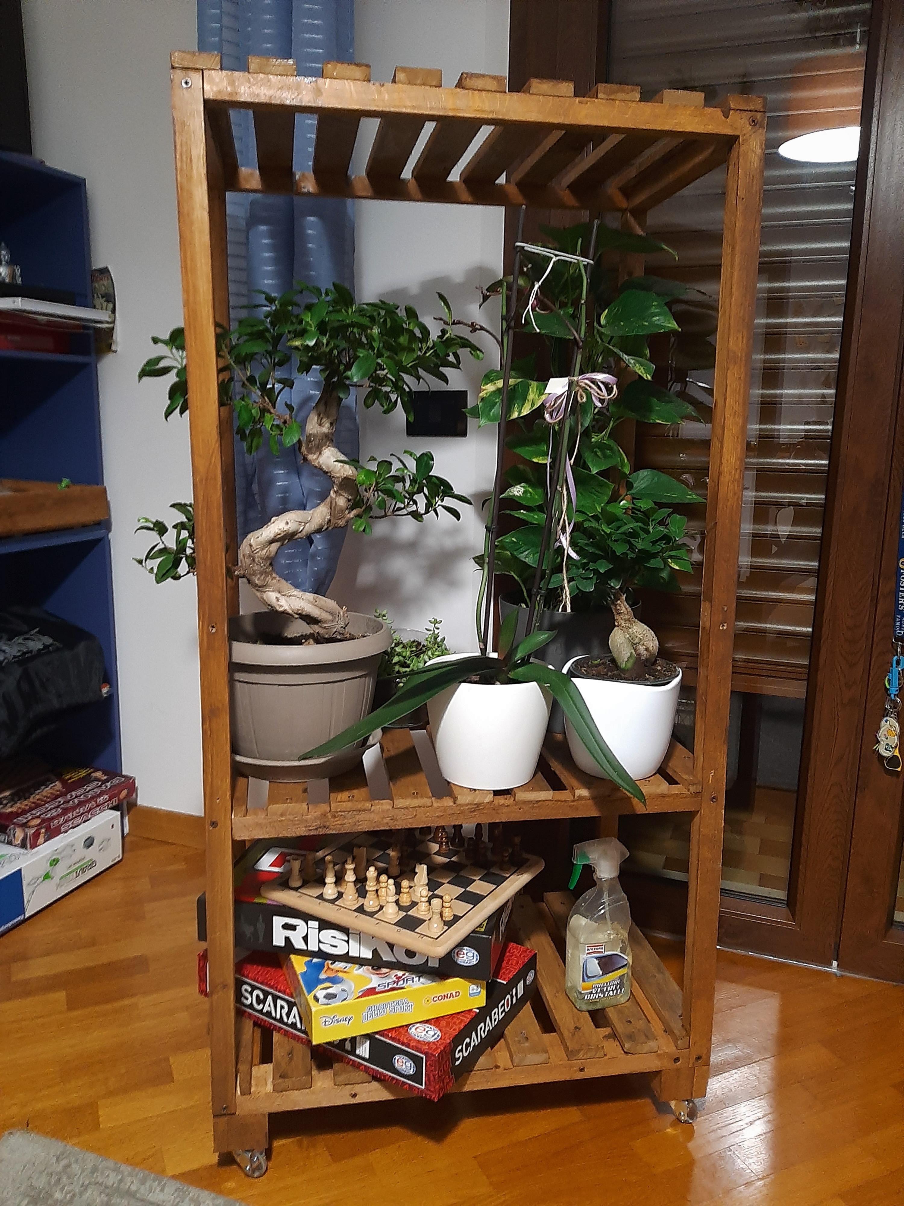 DIY plant shelf r/gardening