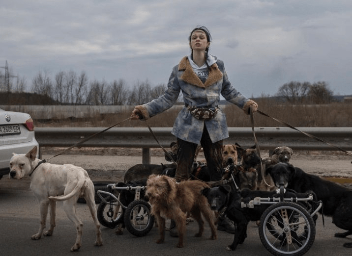 Meet Nastya Tikhaya, a Ukrainian woman who is saving disabled dogs from