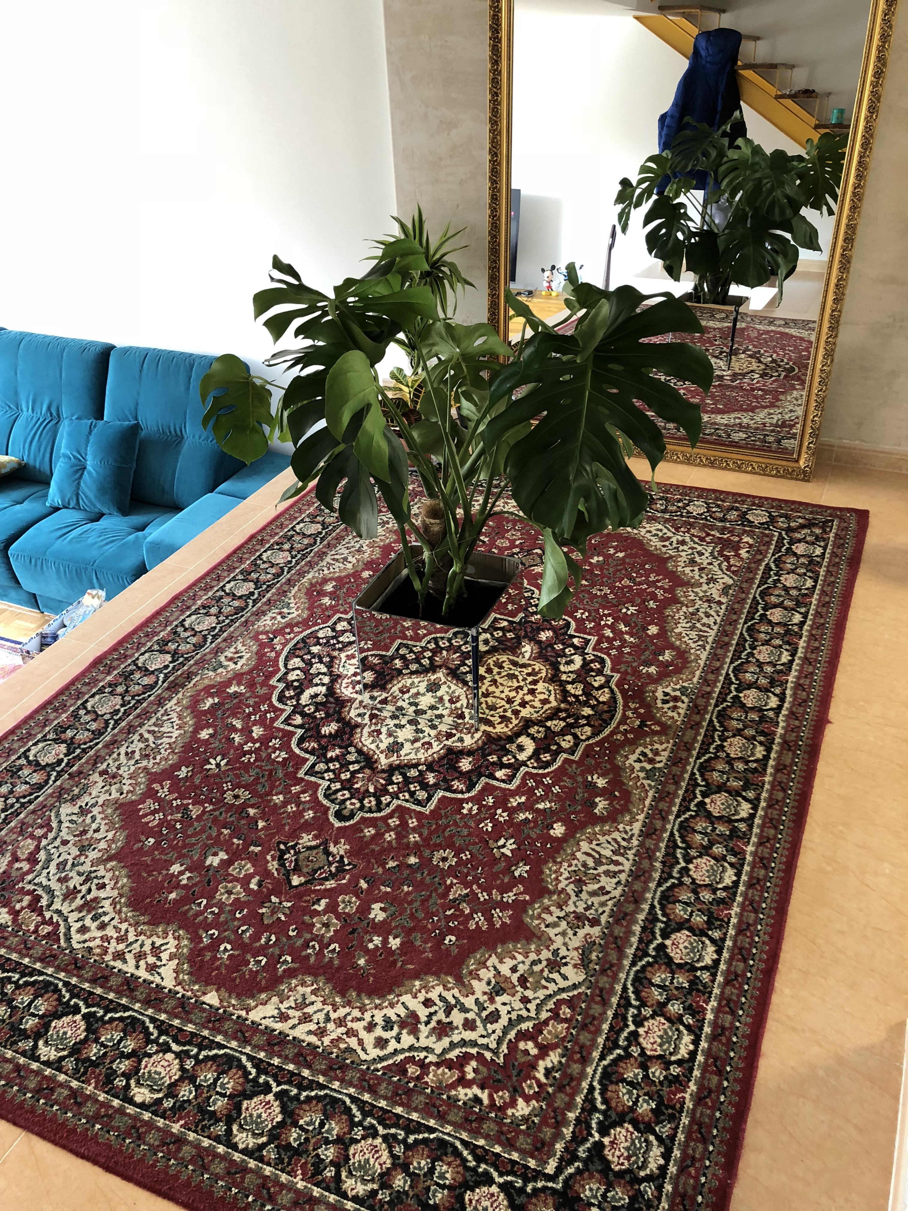 Home made mirror pot r/gardening