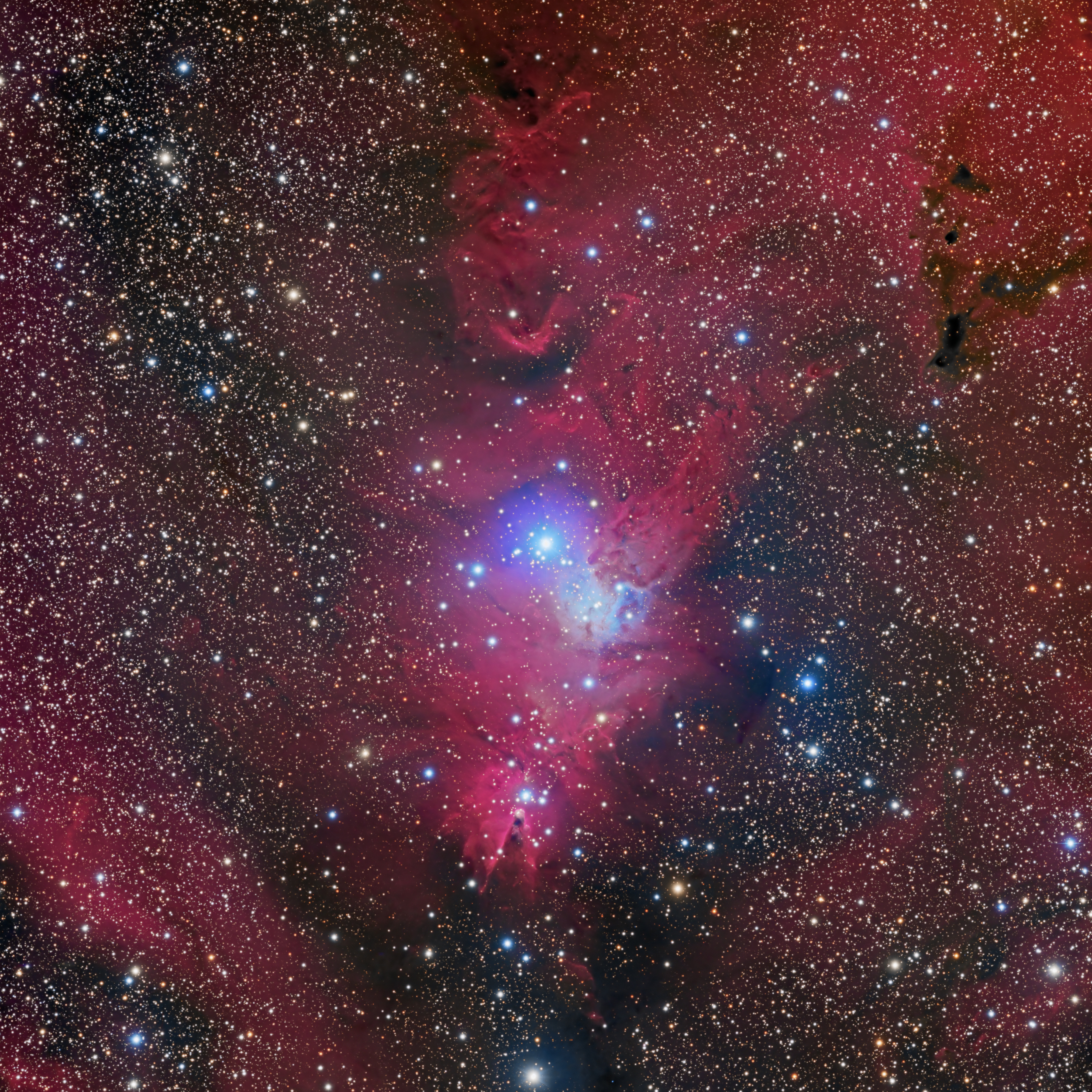 My image of nearly 15 hours worth on the Cone and Fox Fur Nebula under