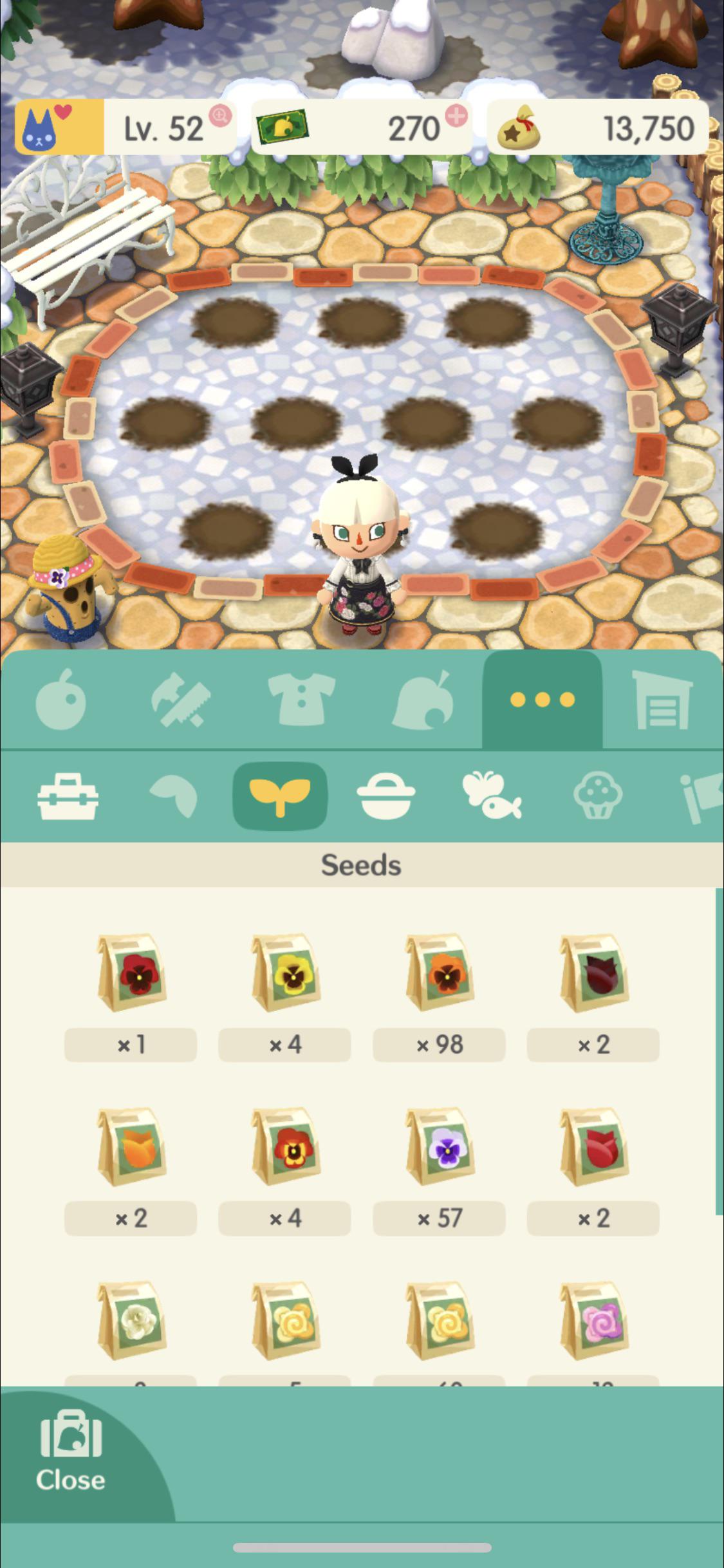 Hello! I have been breeding coral pansies seeds in order to breed blue