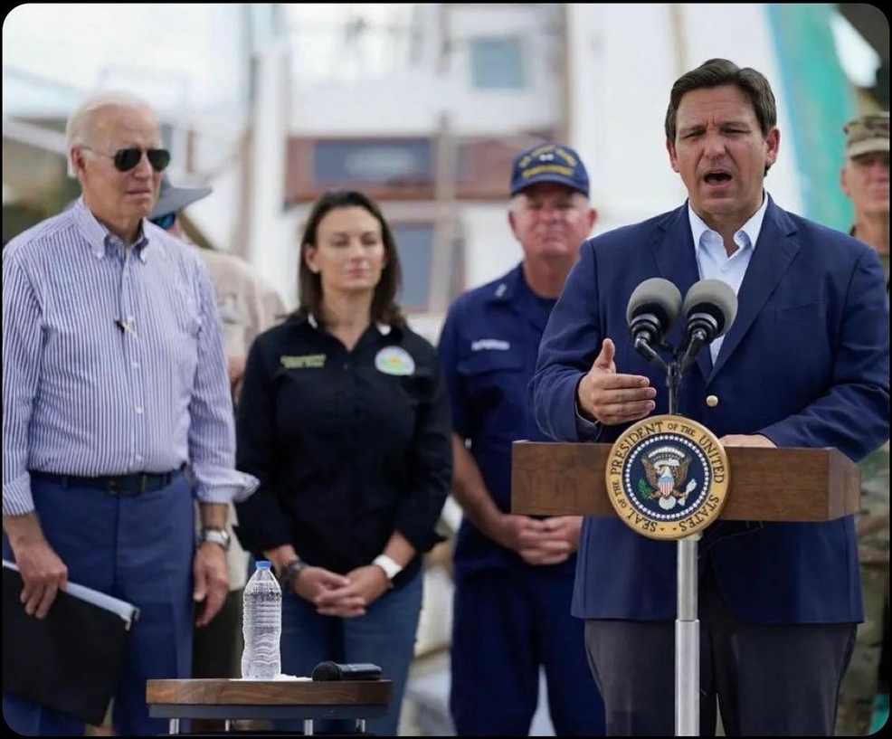 What a photo r/florida