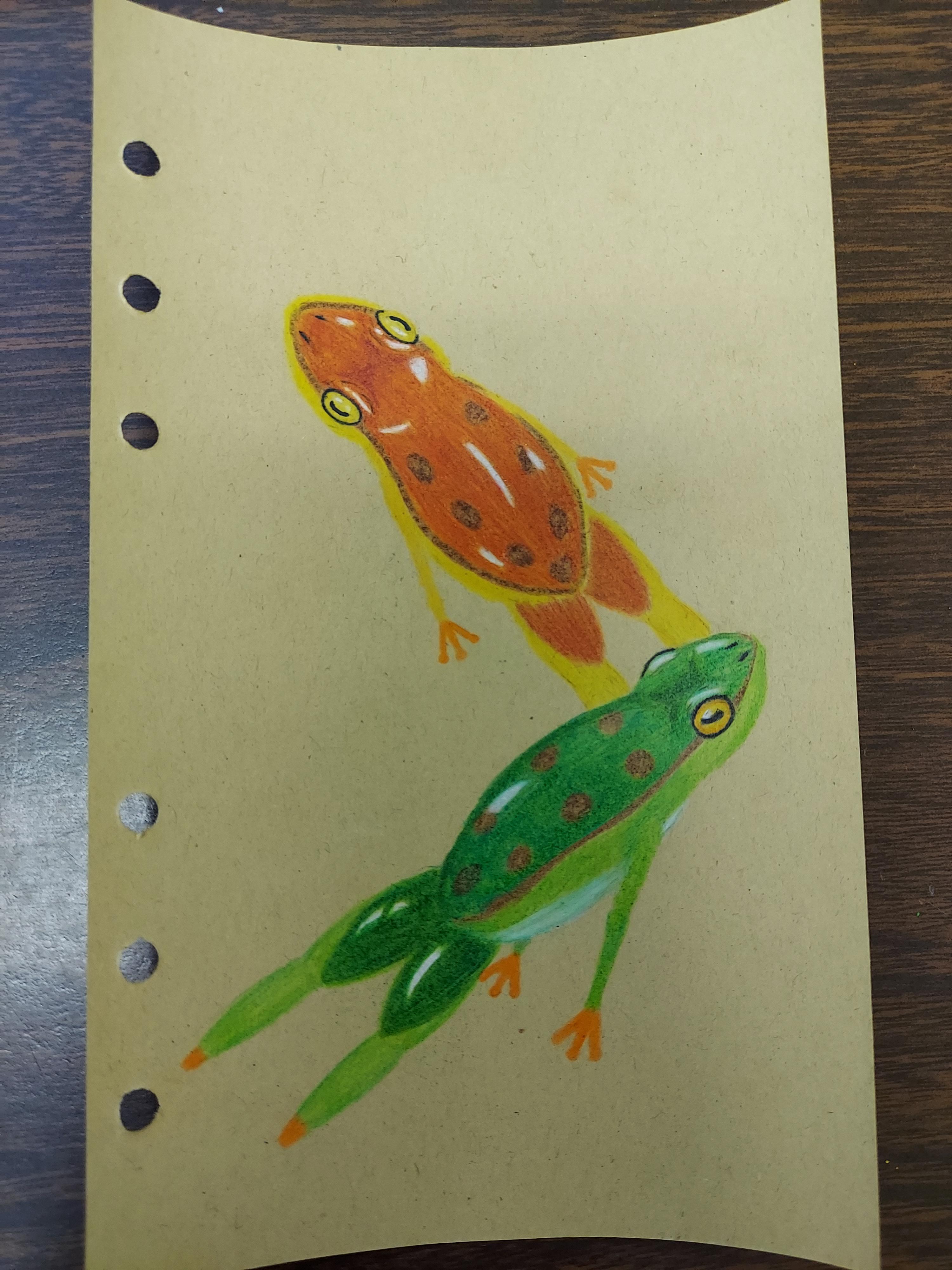 Day 13 of drawing Botw creatures. Tireless and Hot Footed Frogs r