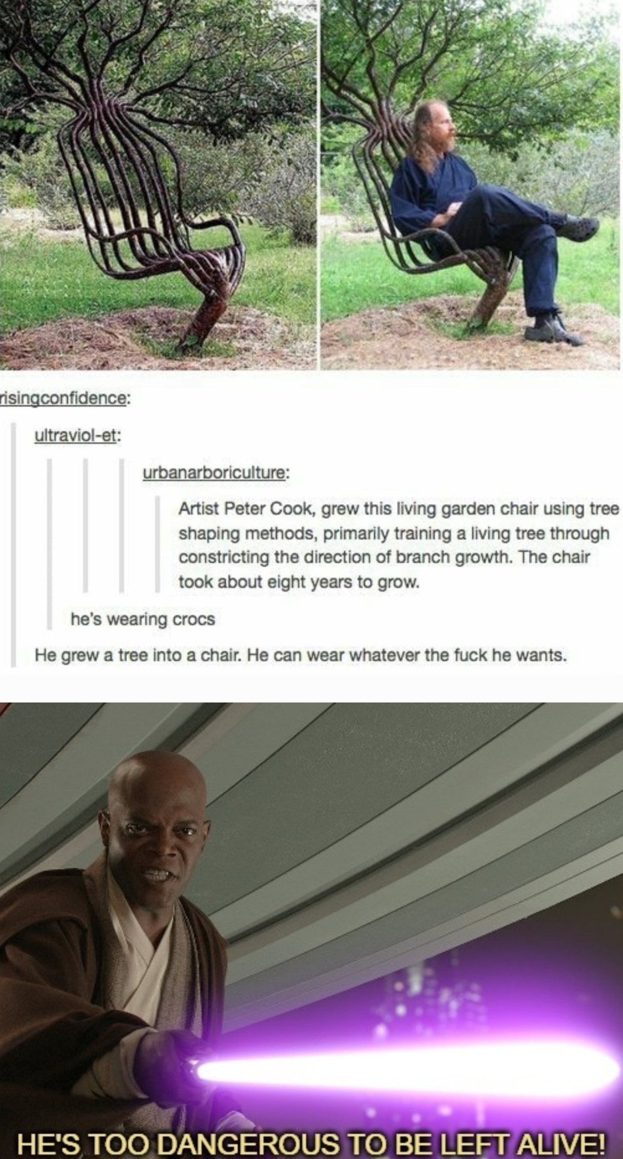 Wood Sitting On A Bed Meme Reddit Garret Johnston