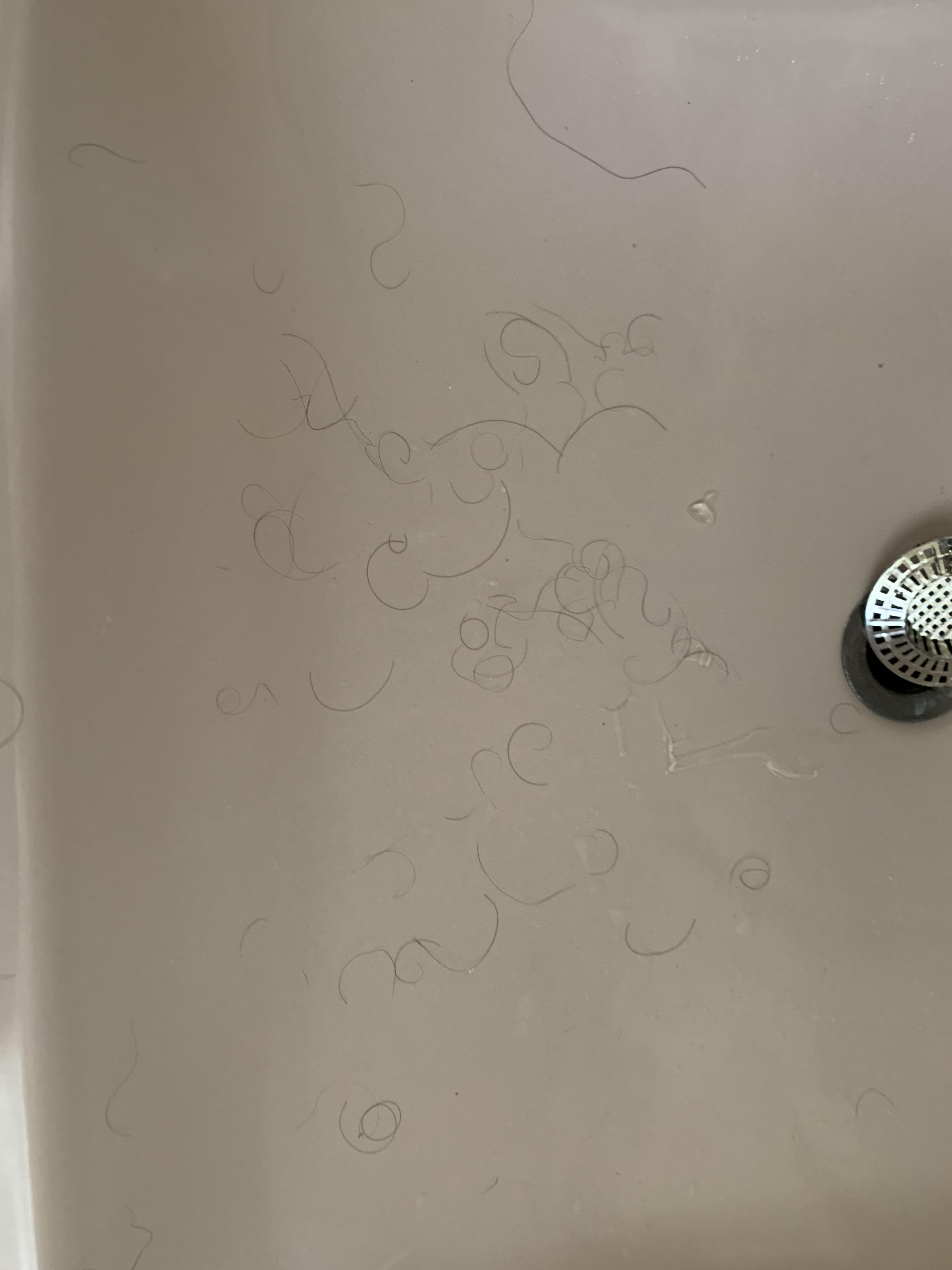 Is this an abnormal amount of hair to fall out when styling hair? r/Hair