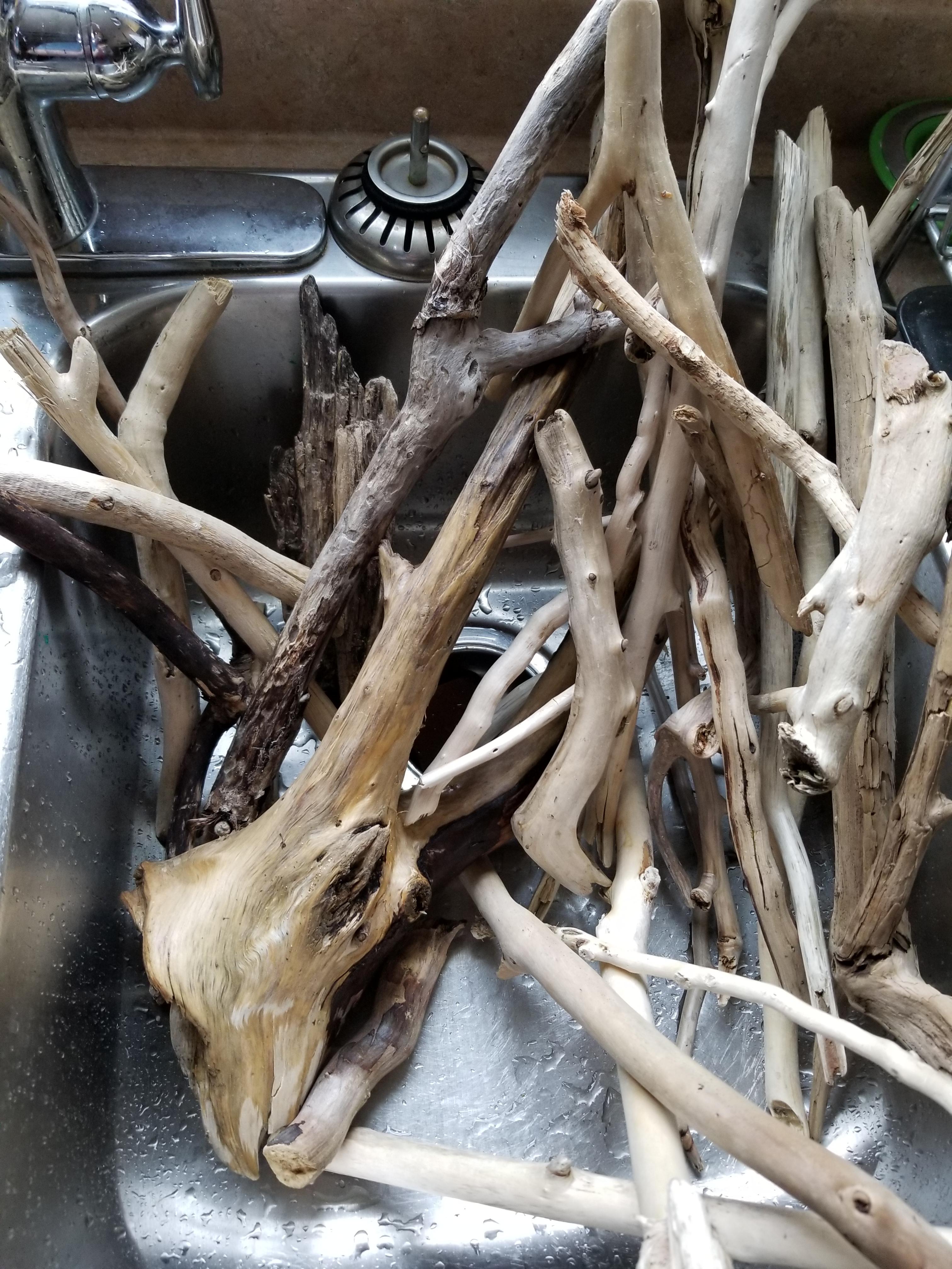 How can you tell if driftwood is safe or not? This was all found wood. r/Aquariums