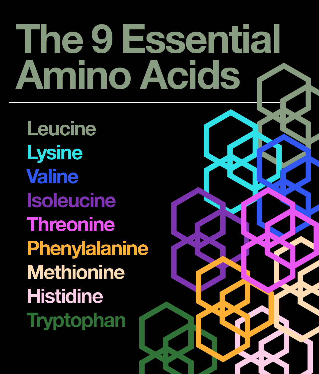 The 9 Essential Amino Acids r/aminoacids
