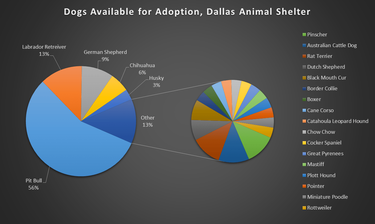 50+ True Animal Shelters Facts You Must Learn