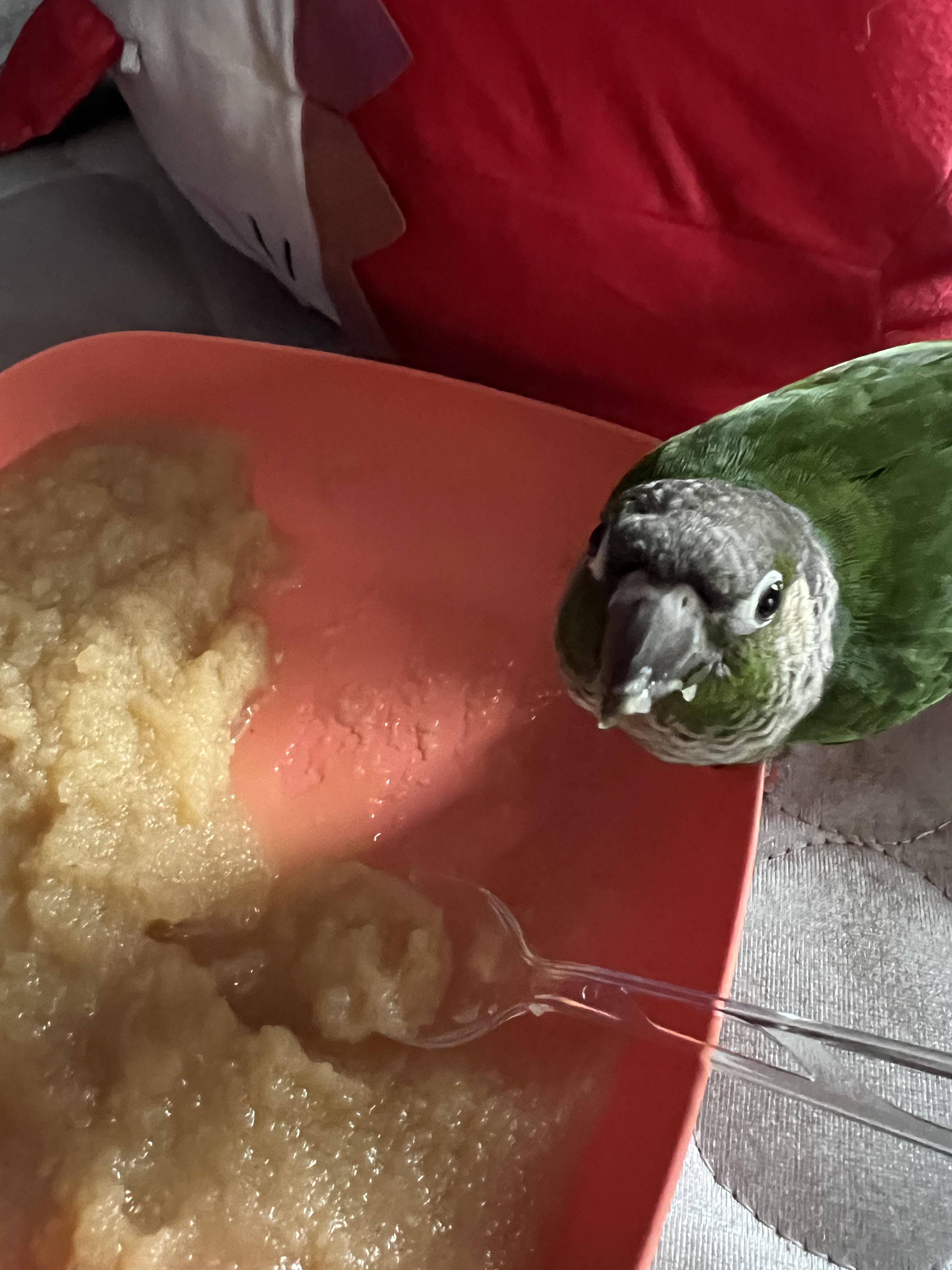 It’s so much fun trying to eat when you have a bird (don’t worry it’s