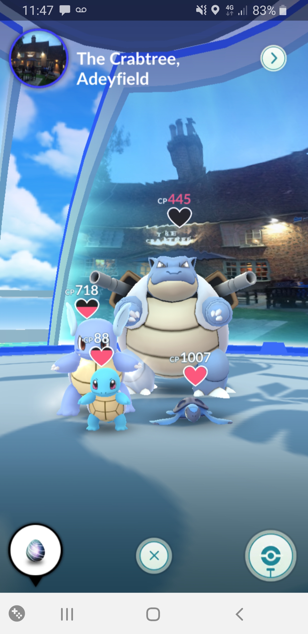 Turtle gym! themedgyms