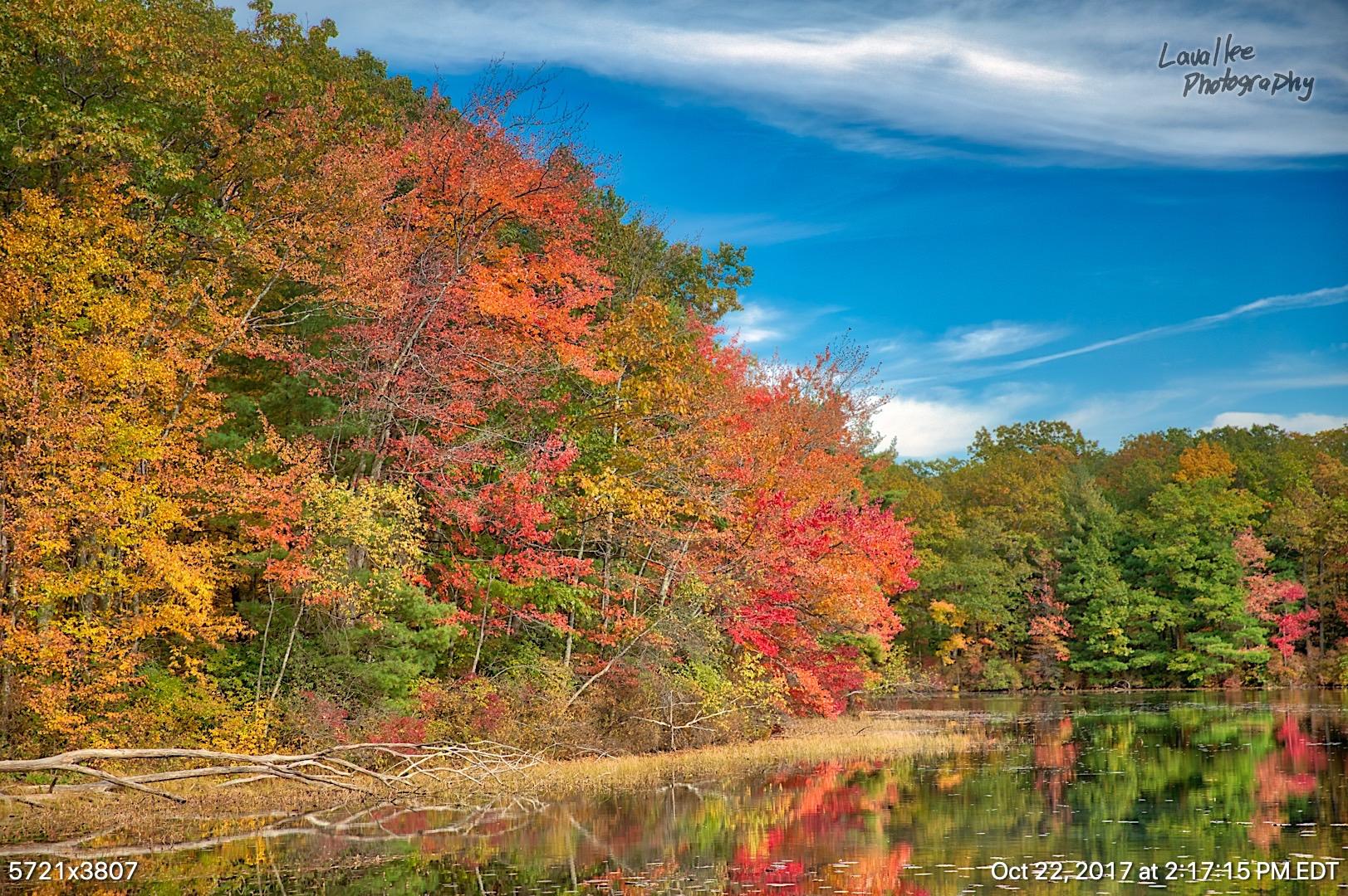 Fall in New England, Moore State Park, Paxton MA [1623x1080] {OC} r