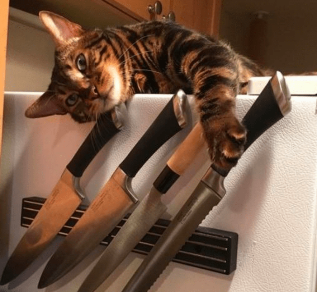 They found the knives r/funny