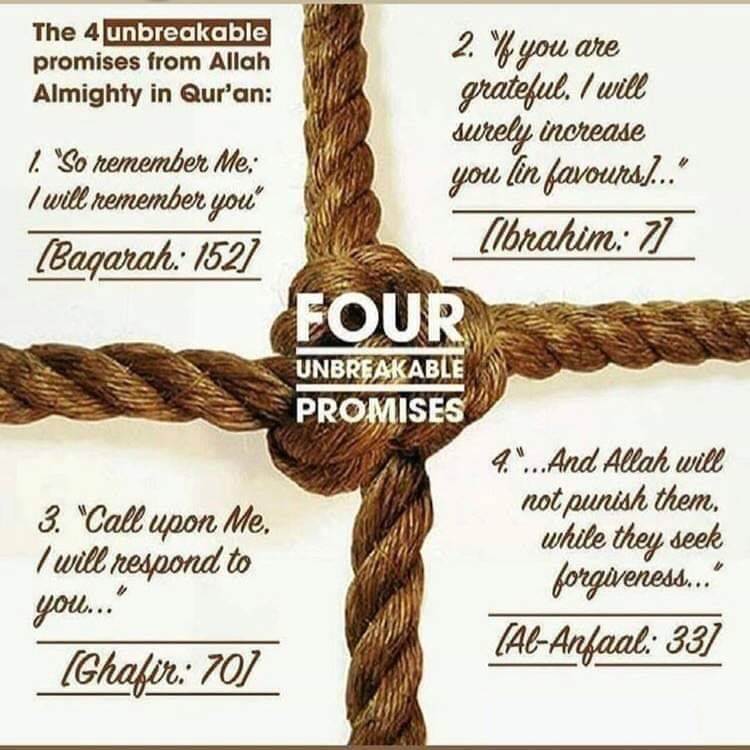 Unbreakable promises from Almighty Allah in Qur'an r/islam