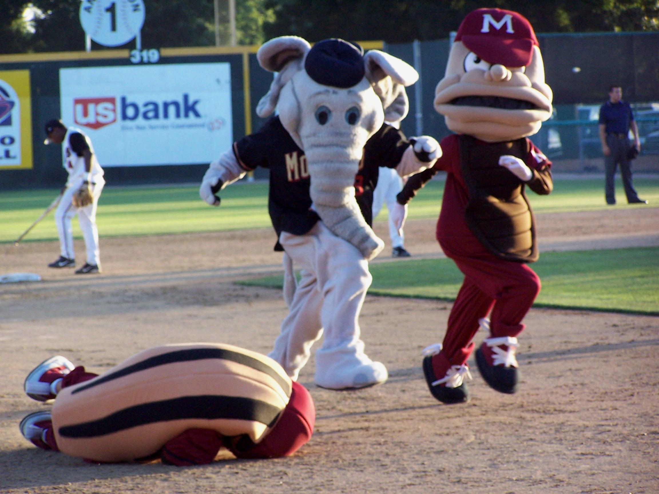 Modesto (California) Nuts minor league baseball team's mascot race the almond bites the dust