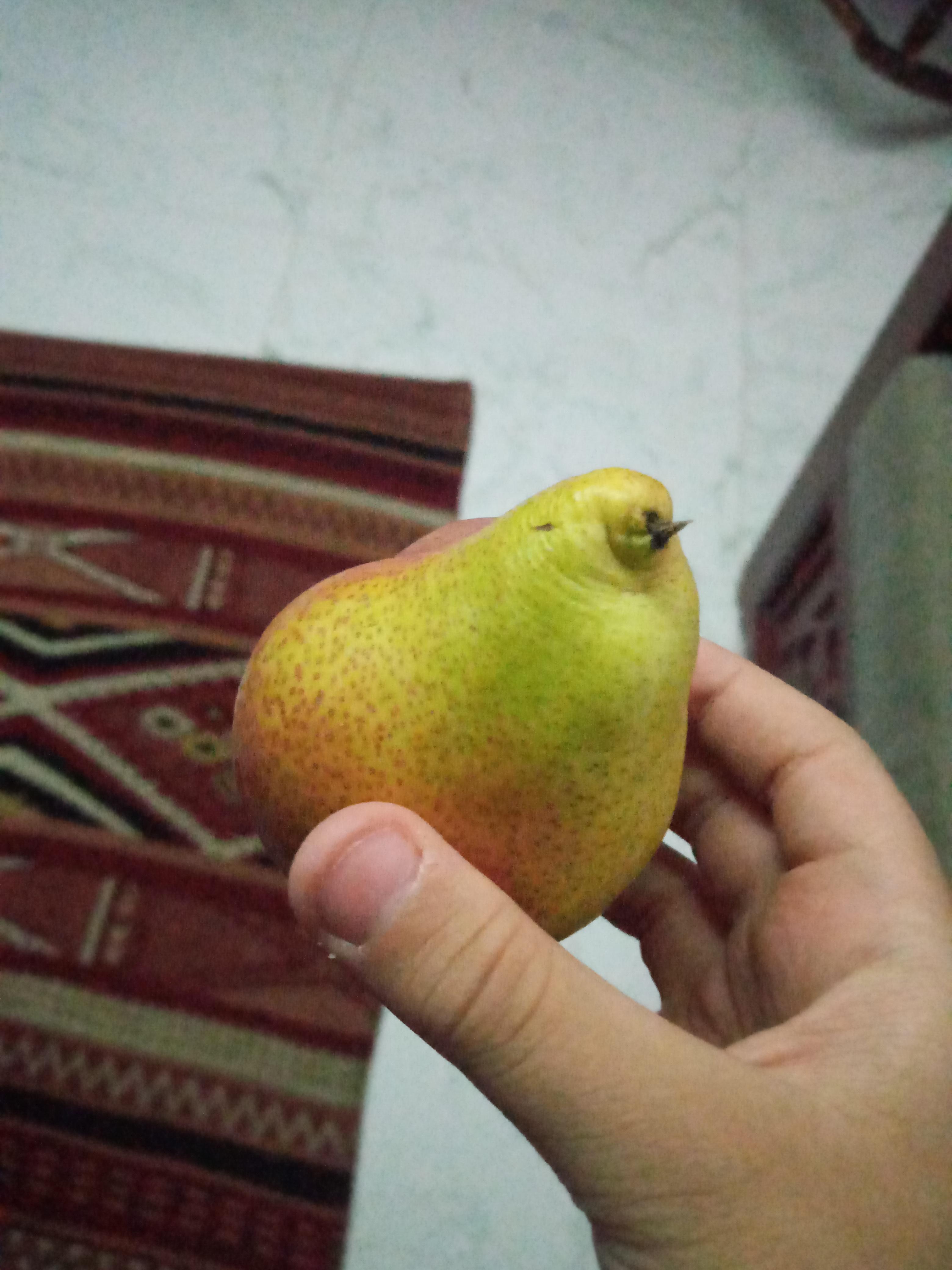 this pear legit looks like a bird r/funny