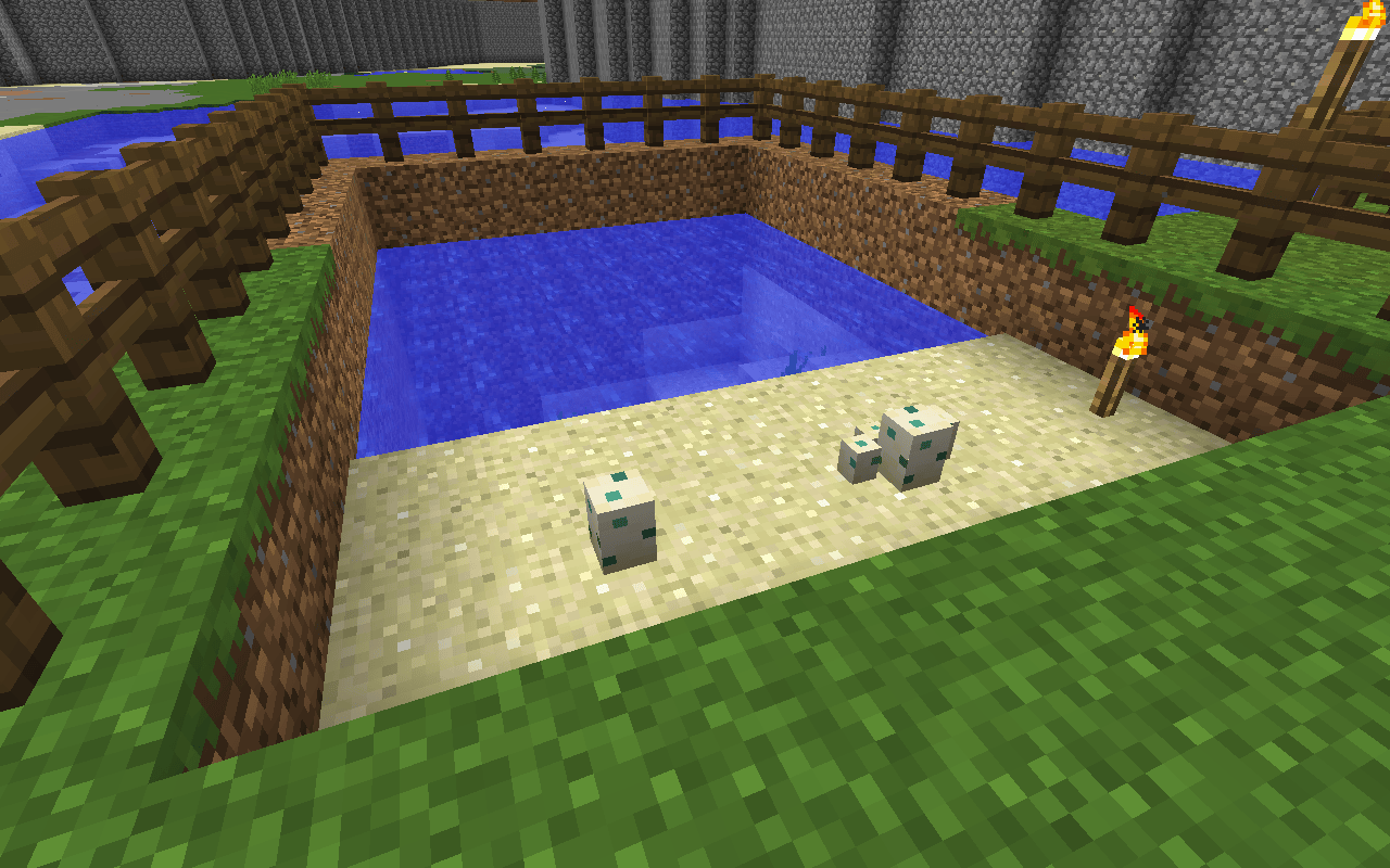 How To Hatch Sea Turtle Eggs In Minecraft