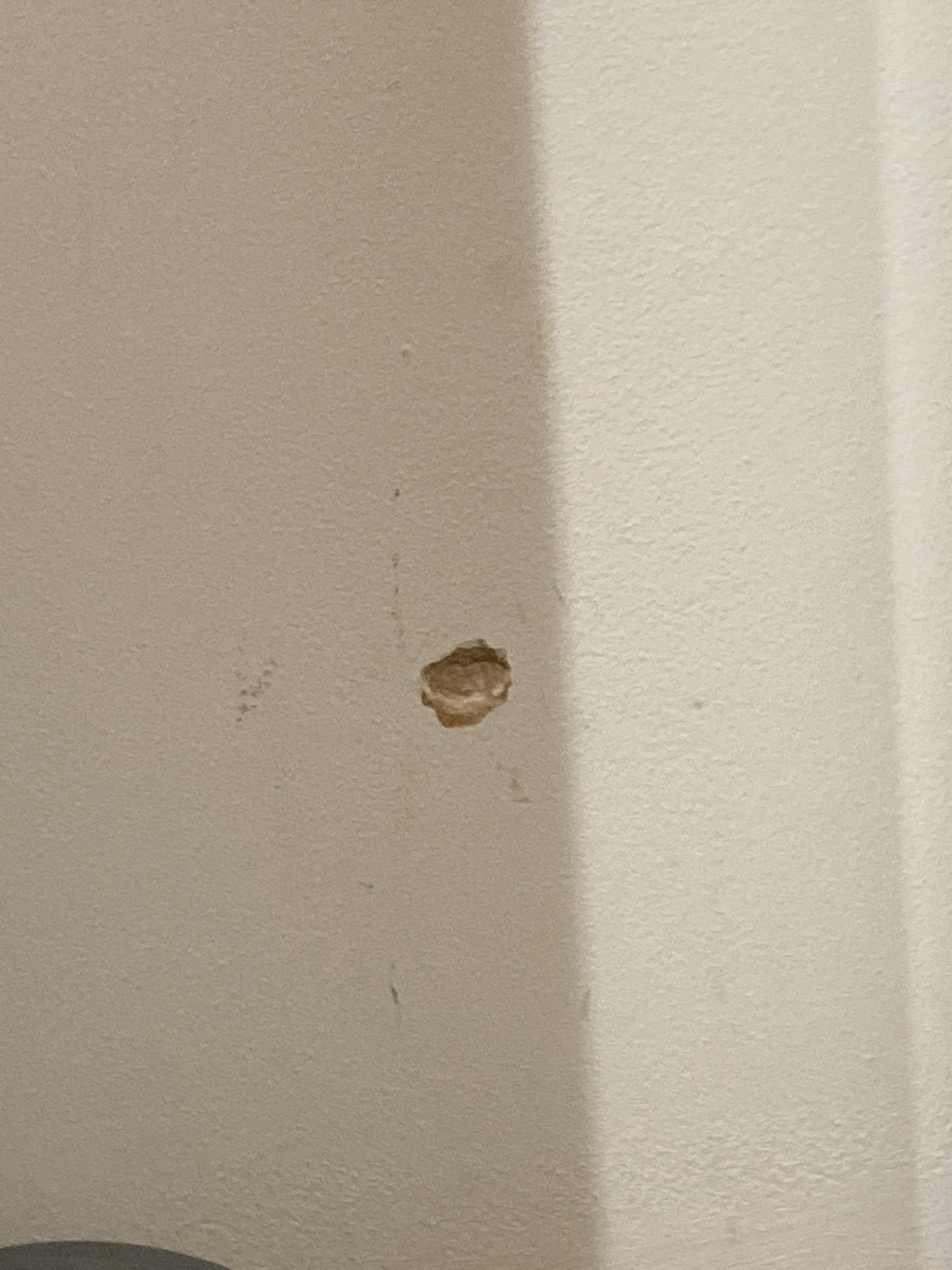 Small hole in the wall. Any cheap methods of fixing this? r/fixit