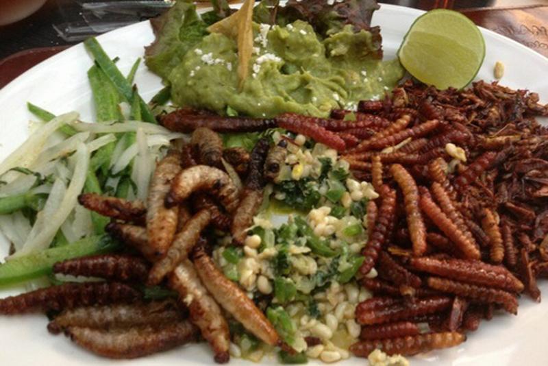 Gusanos de Maguey, agave worm dish from old Mexico r/RedditDayOf