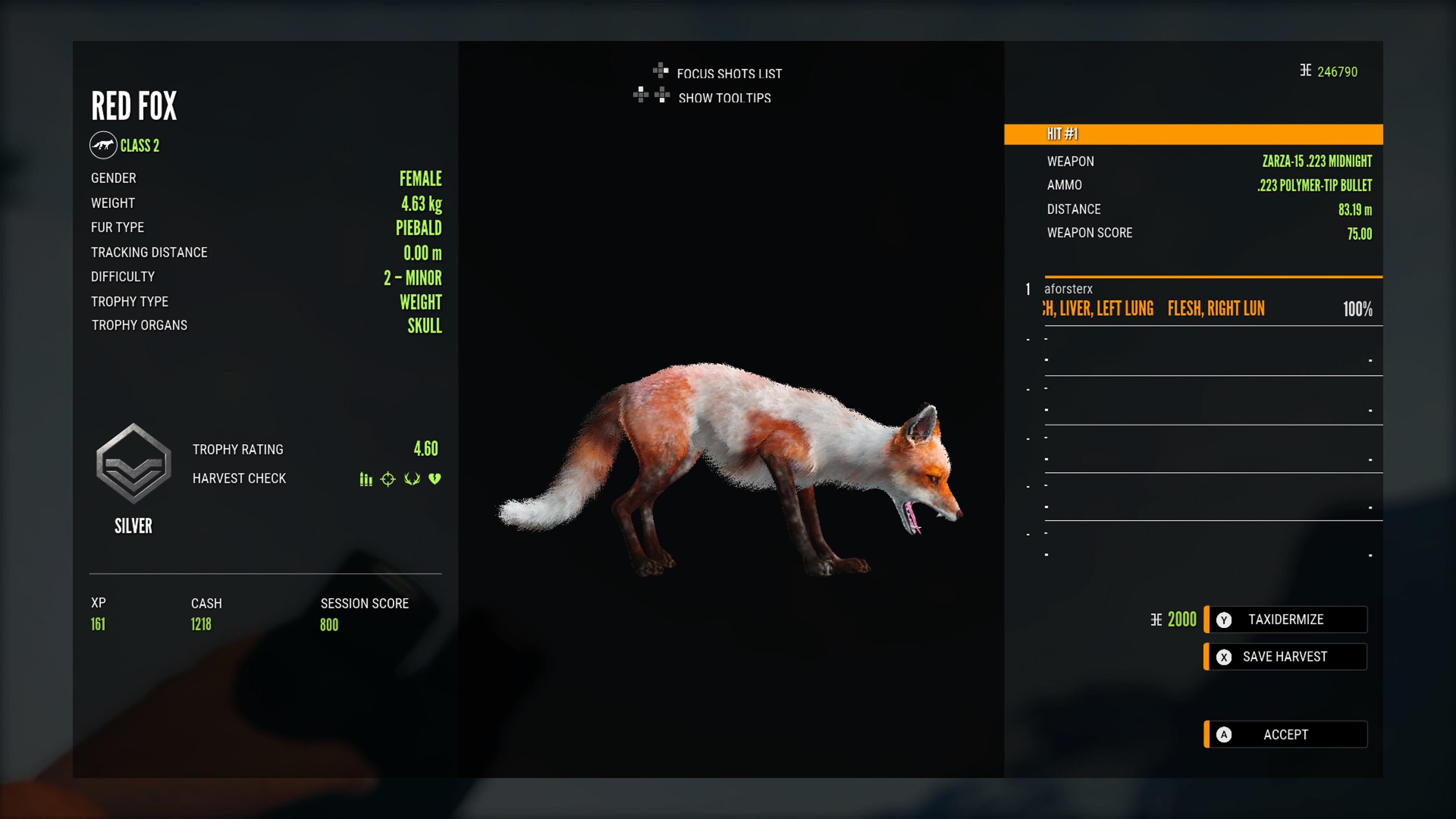 Zoo Piebald Fox at Frank Bustamante blog