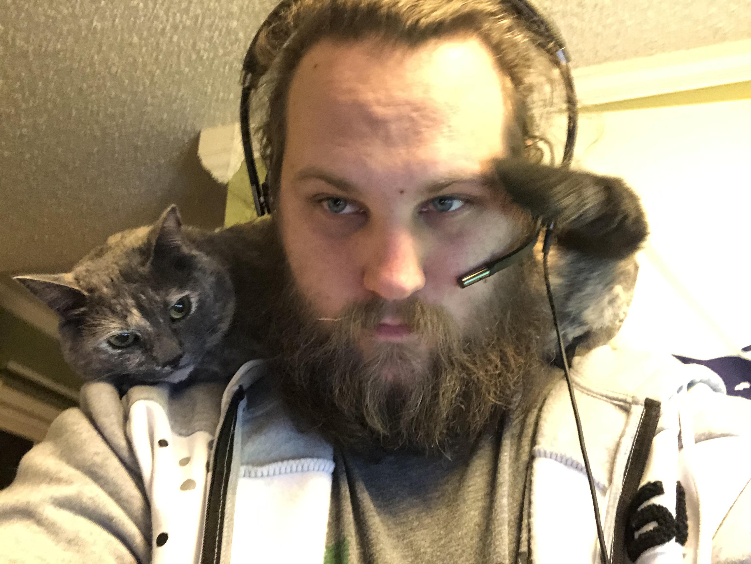 Tech Support Support Cat r/Catswithjobs