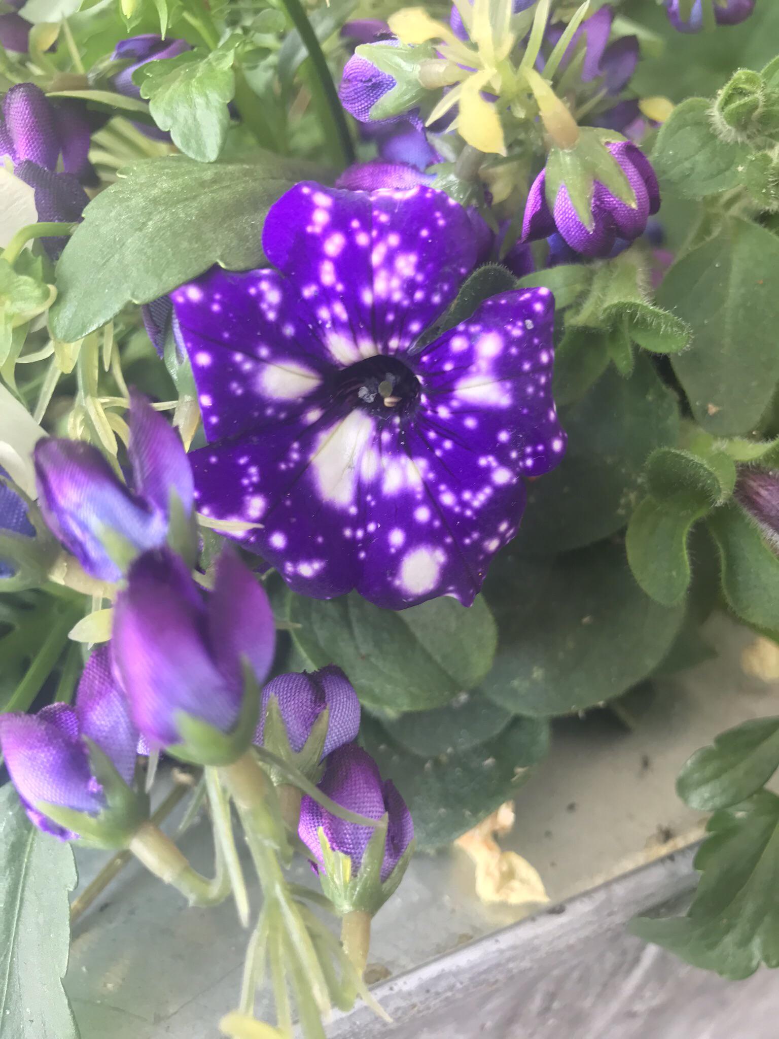 Reddit Dive into anything