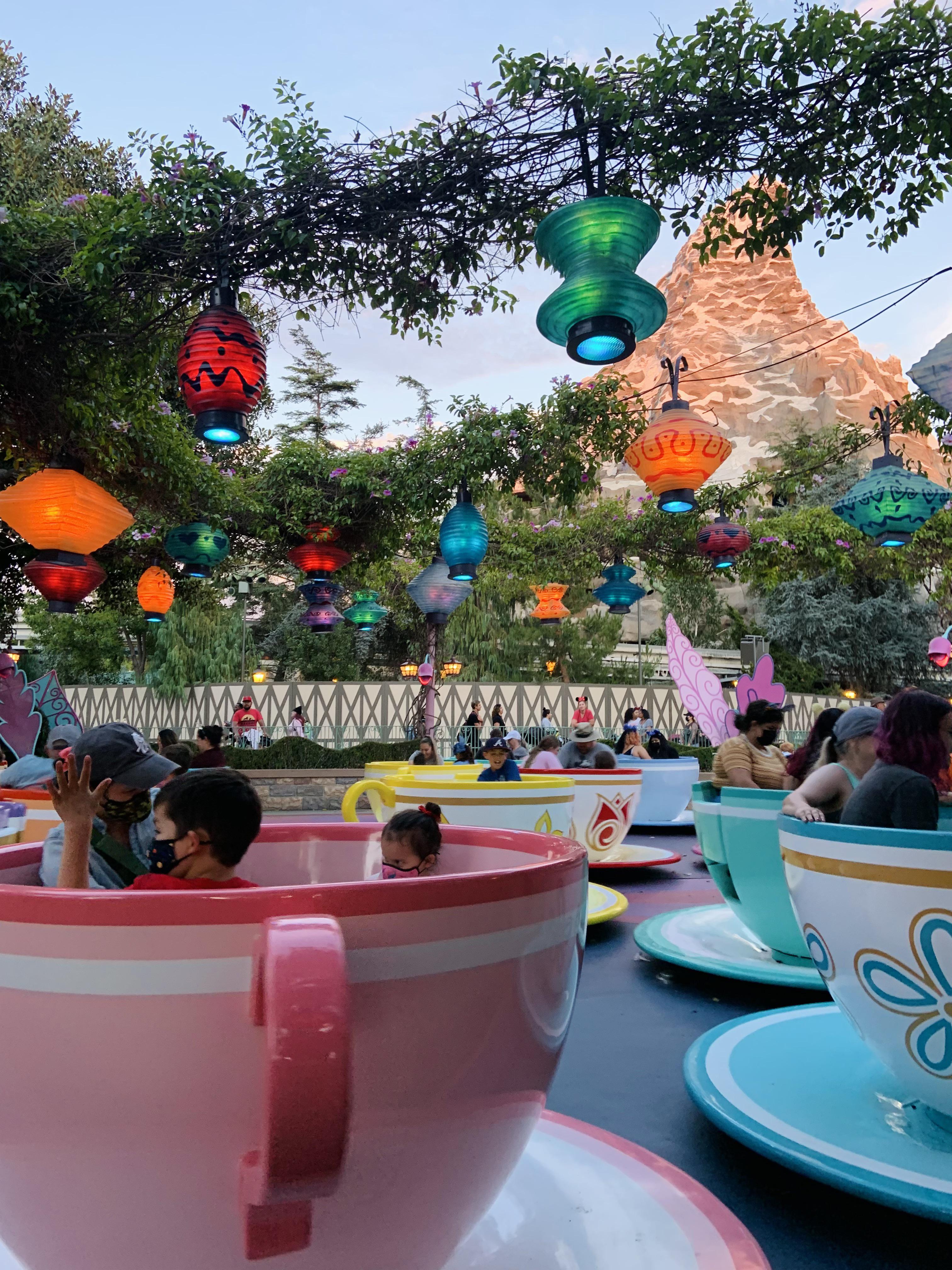 Riding the teacups in the evenings are the best! r/Disneyland