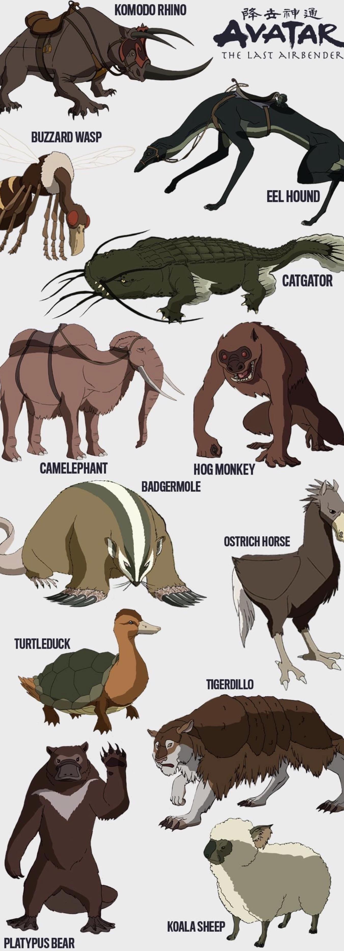 Ranking All Animals In Avatar The Last Airbender And Legend, 50 OFF