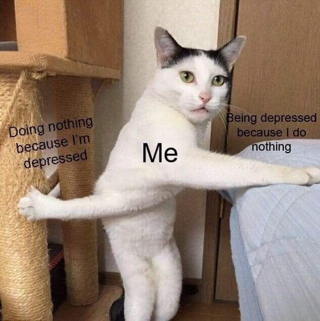 Everyday’s dilemma r/funny