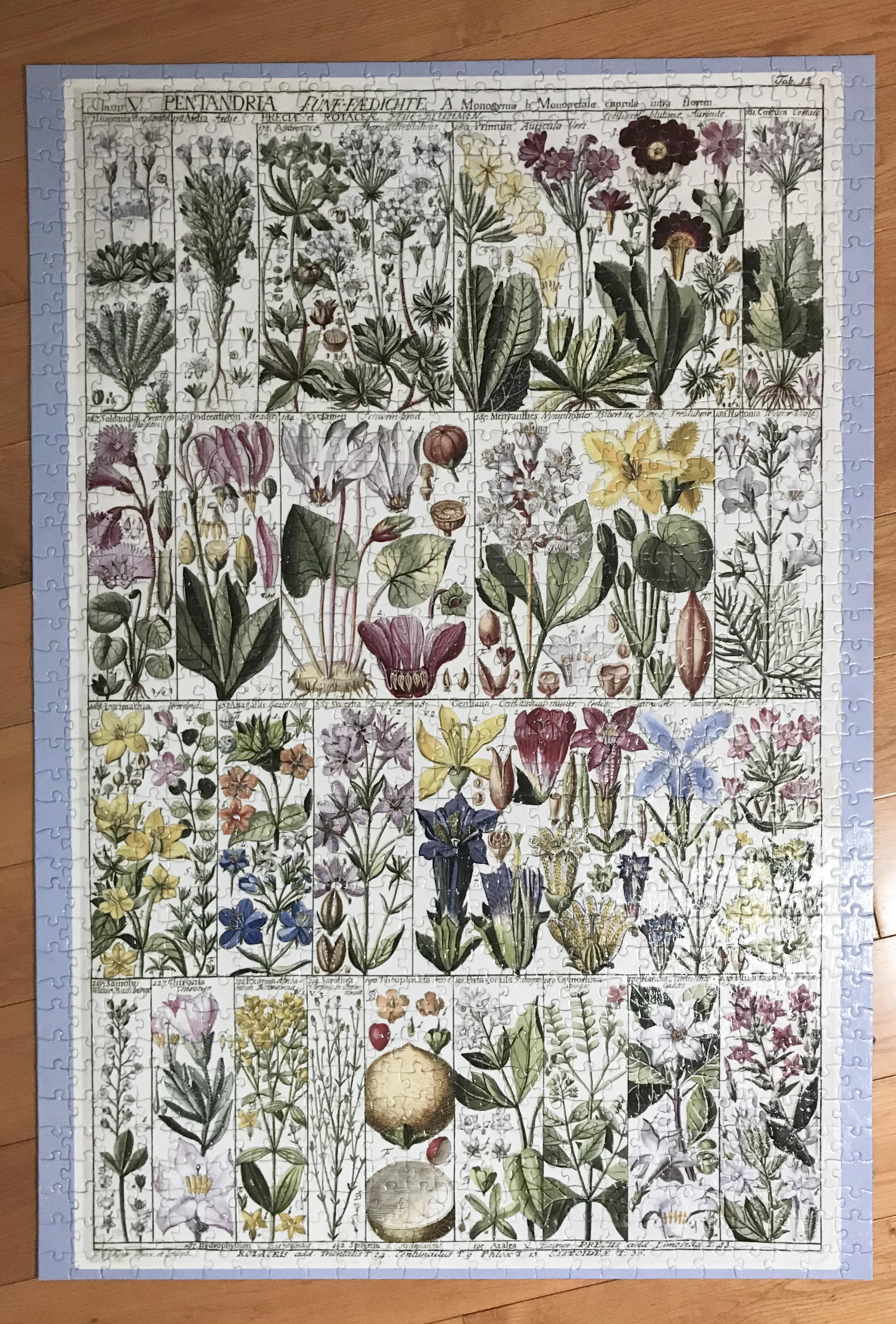 Botanical puzzle, 1000 pcs r/Jigsawpuzzles