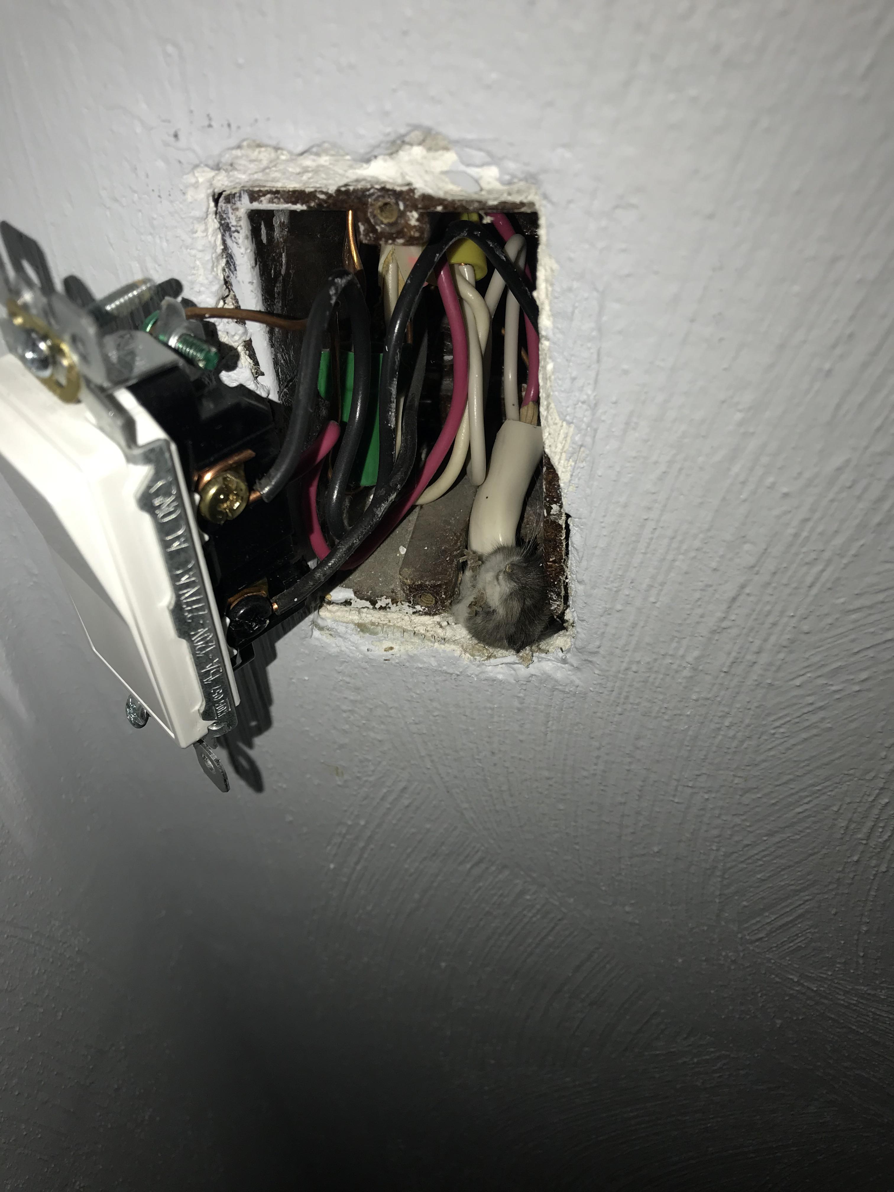 Homeowner noticed a funky smell coming from the switch r/electricians
