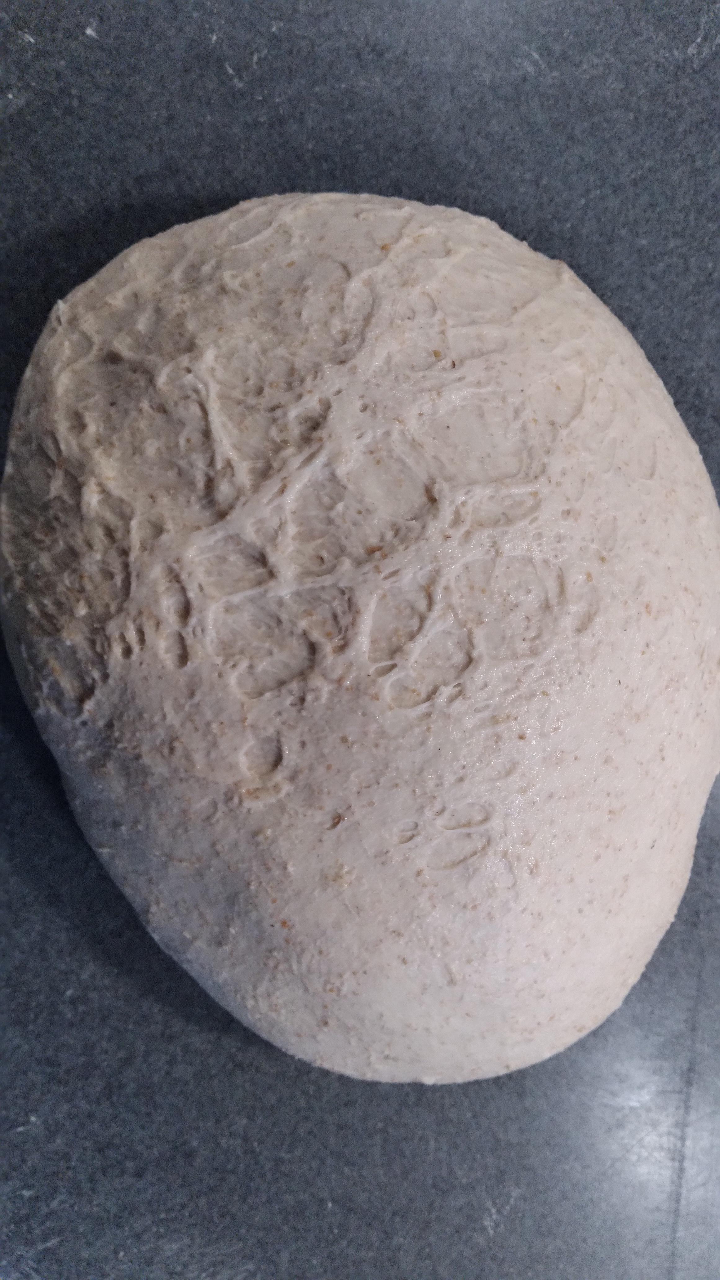 My dough keeps tearing Cannot Stretch and fold...why??? r/Sourdough